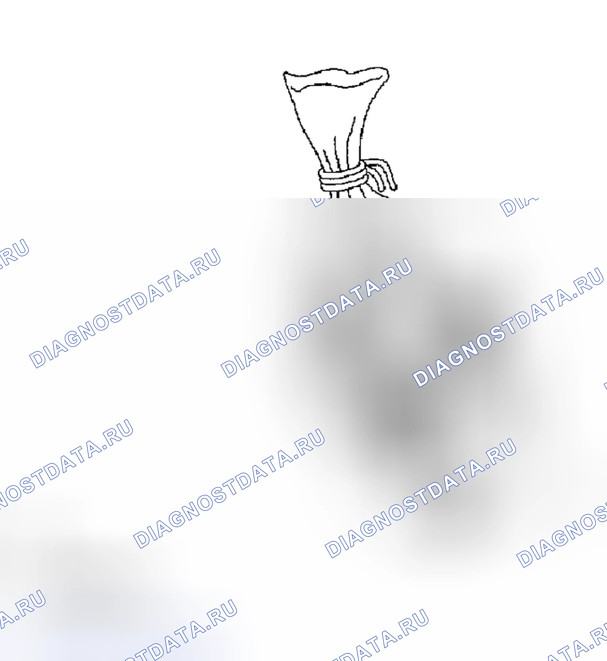 Рис. 53. Haval H5 I