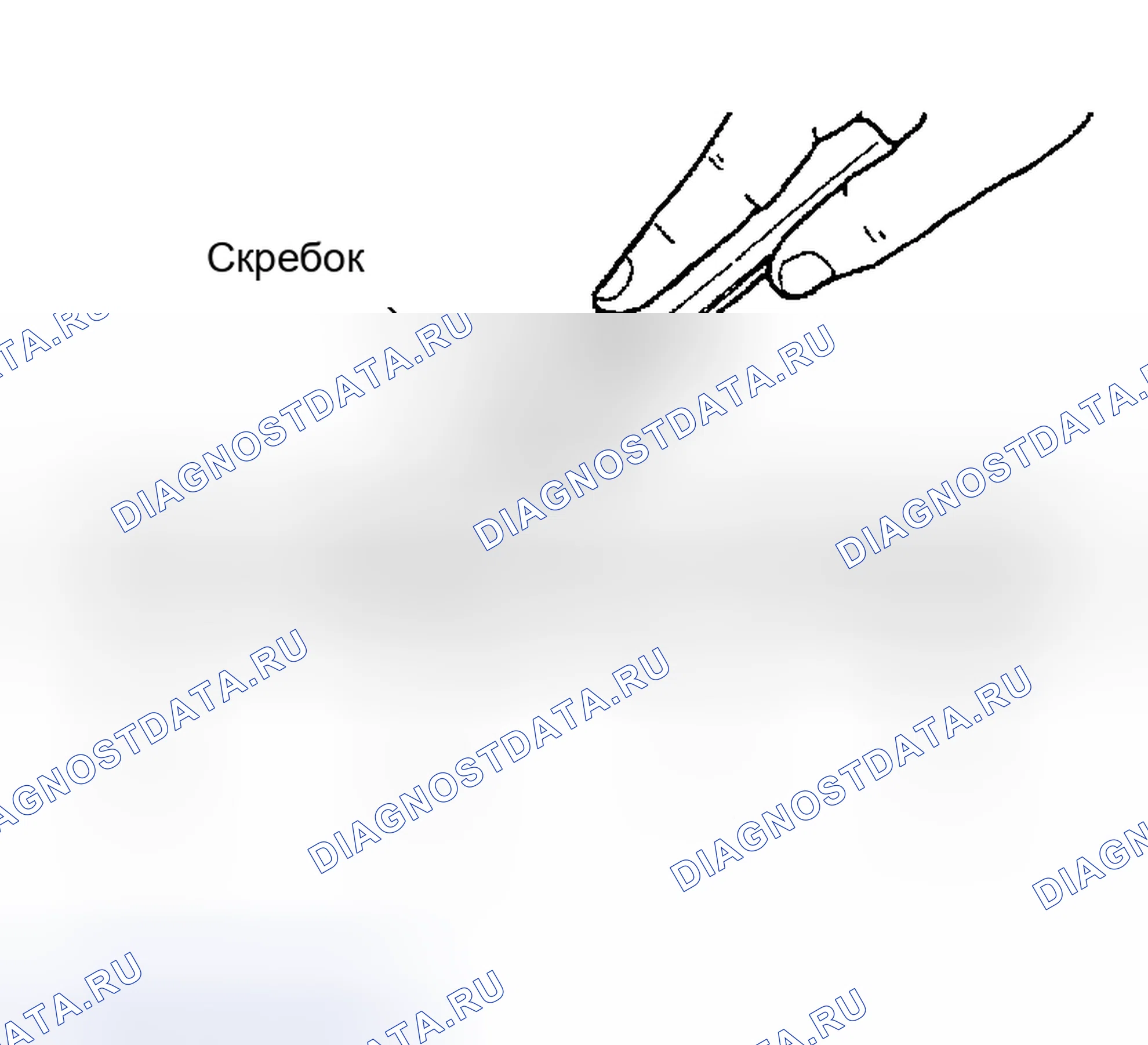 Рис. 252: ПРОЦЕДУРА УСТАНОВКИ ЖИДКОСТНОЙ ПРОКЛАДКИ. Nissan Sentra B15