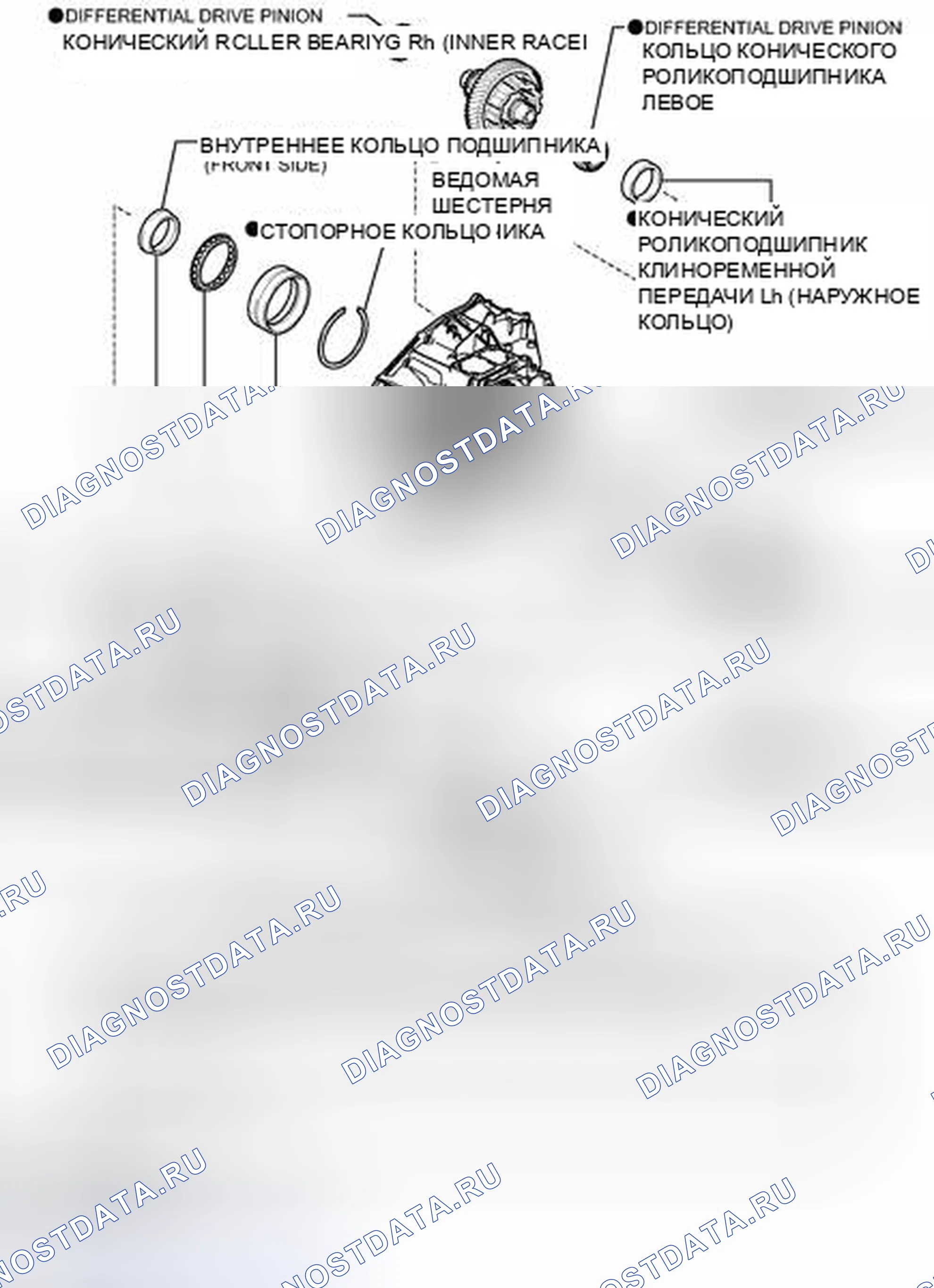 Рис. 231: ИЛЛЮСТРАЦИЯ. Toyota Camry XV50