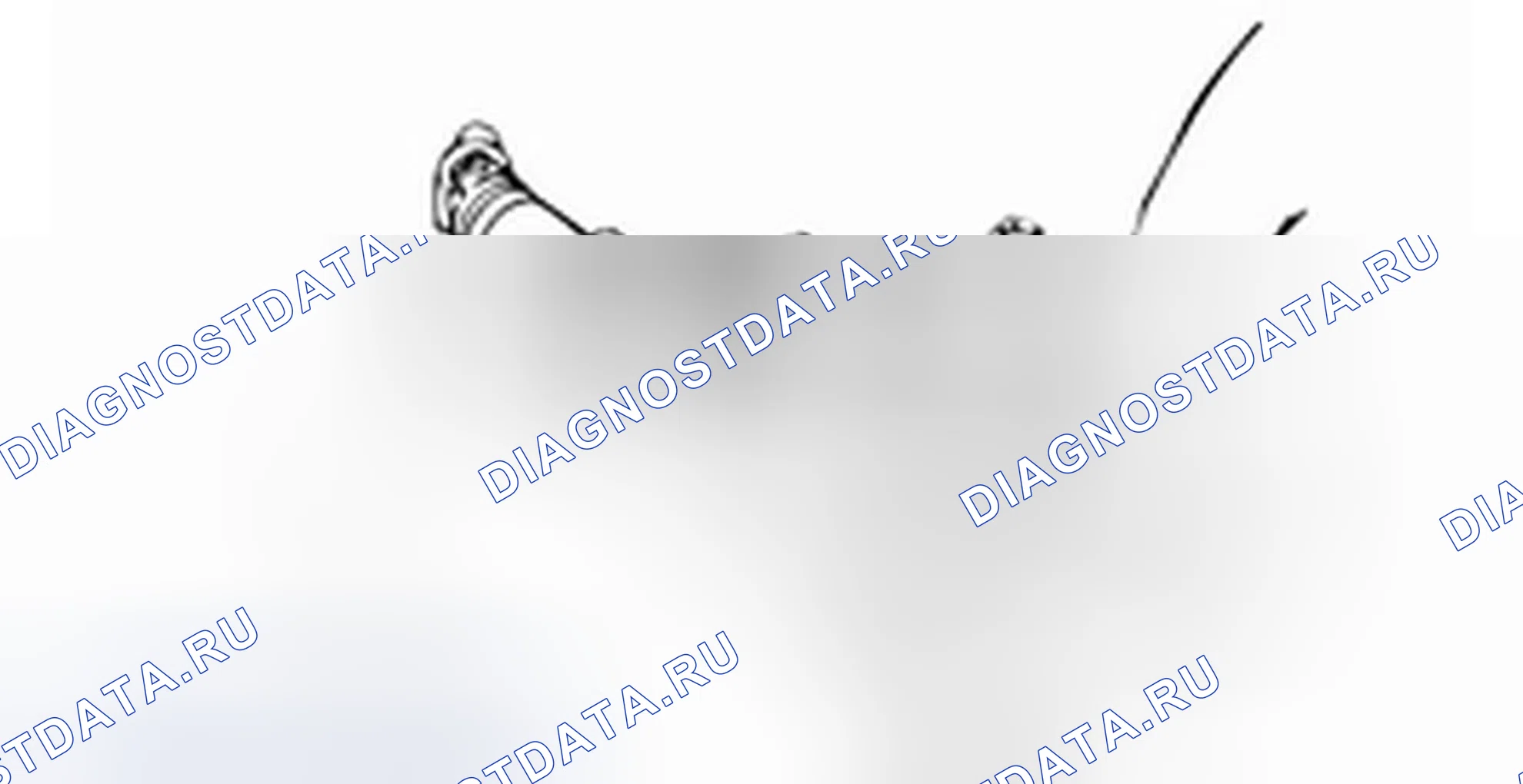 Проверка карданного вала. Hyundai H-1 A1