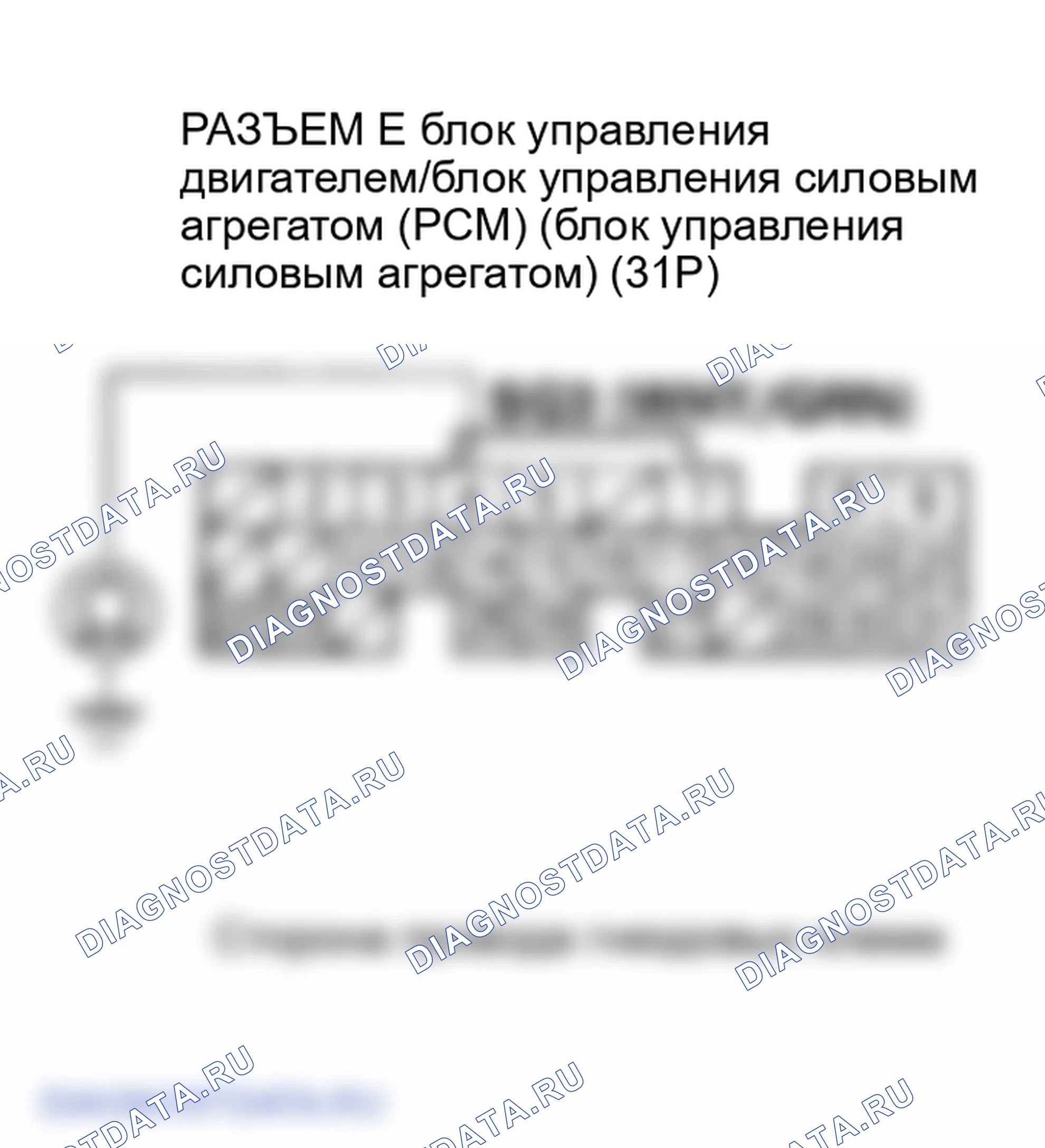 Рис. 24. Honda Element YH2
