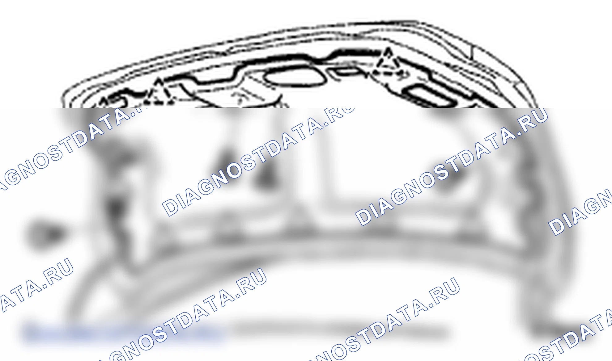 Рис. 244. Lexus LS IV