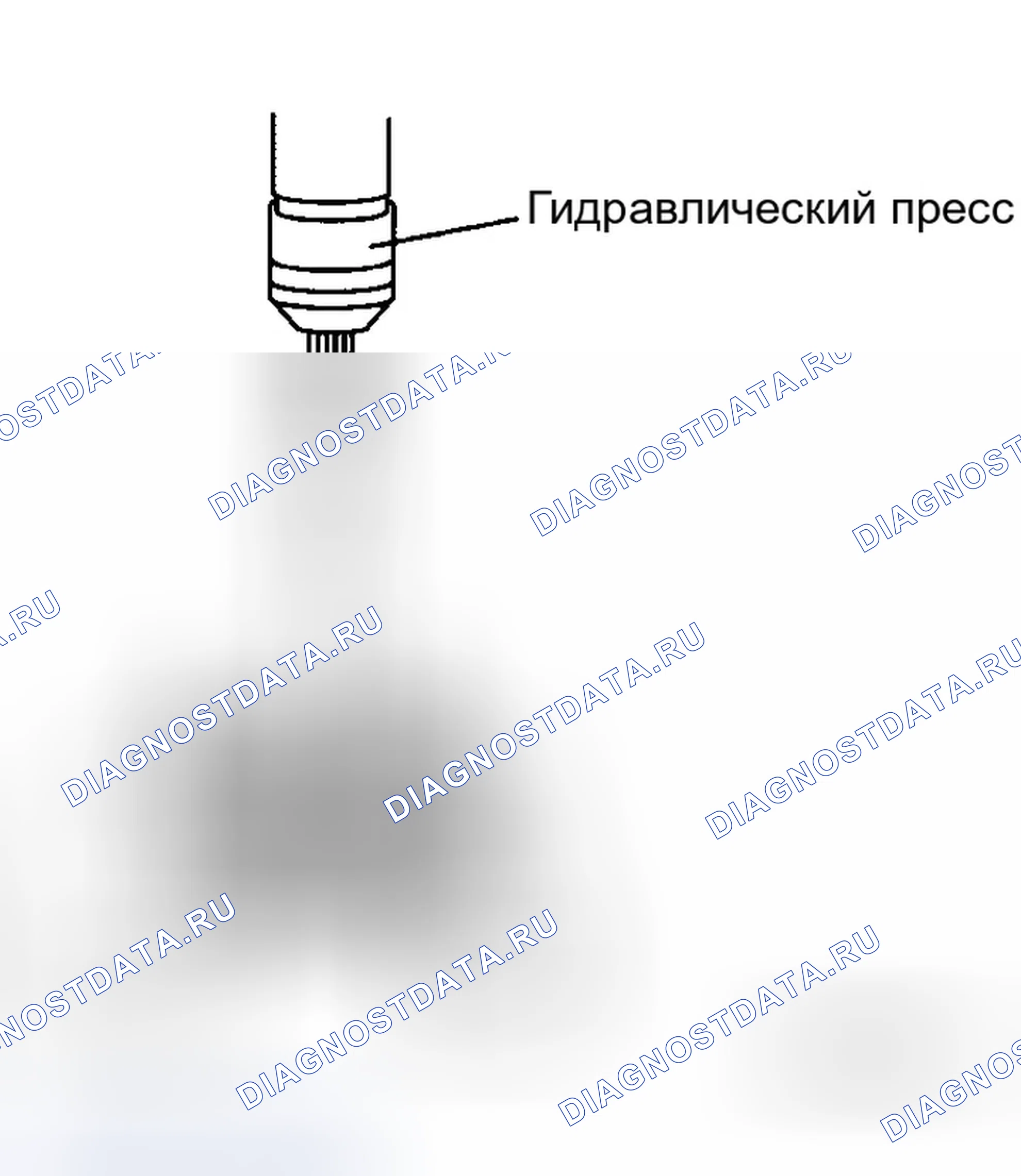 Рис. 465: ЗАМЕНА ПОДШИПНИКА И МАСЛЯНОГО УПЛОТНЕНИЯ. Infiniti G35 III