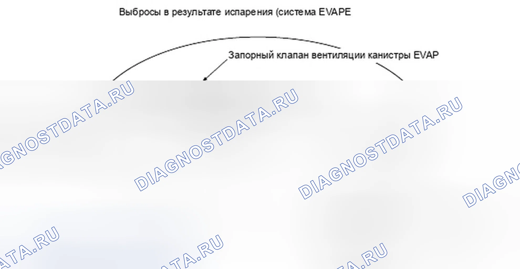Рис. 298: Схема системы испарительных выбросов. Honda Element I