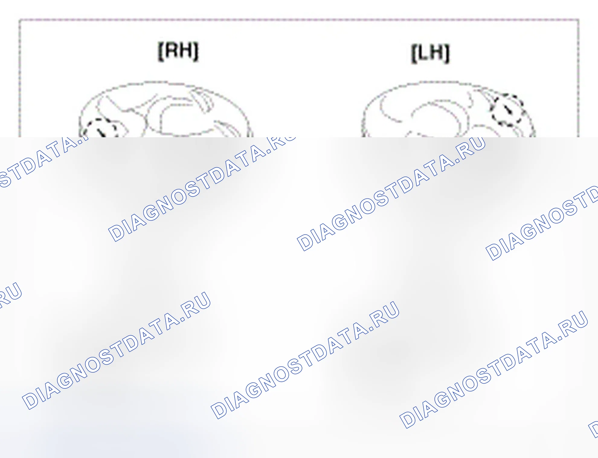 Рис. 935. Hyundai Genesis I рестайлинг