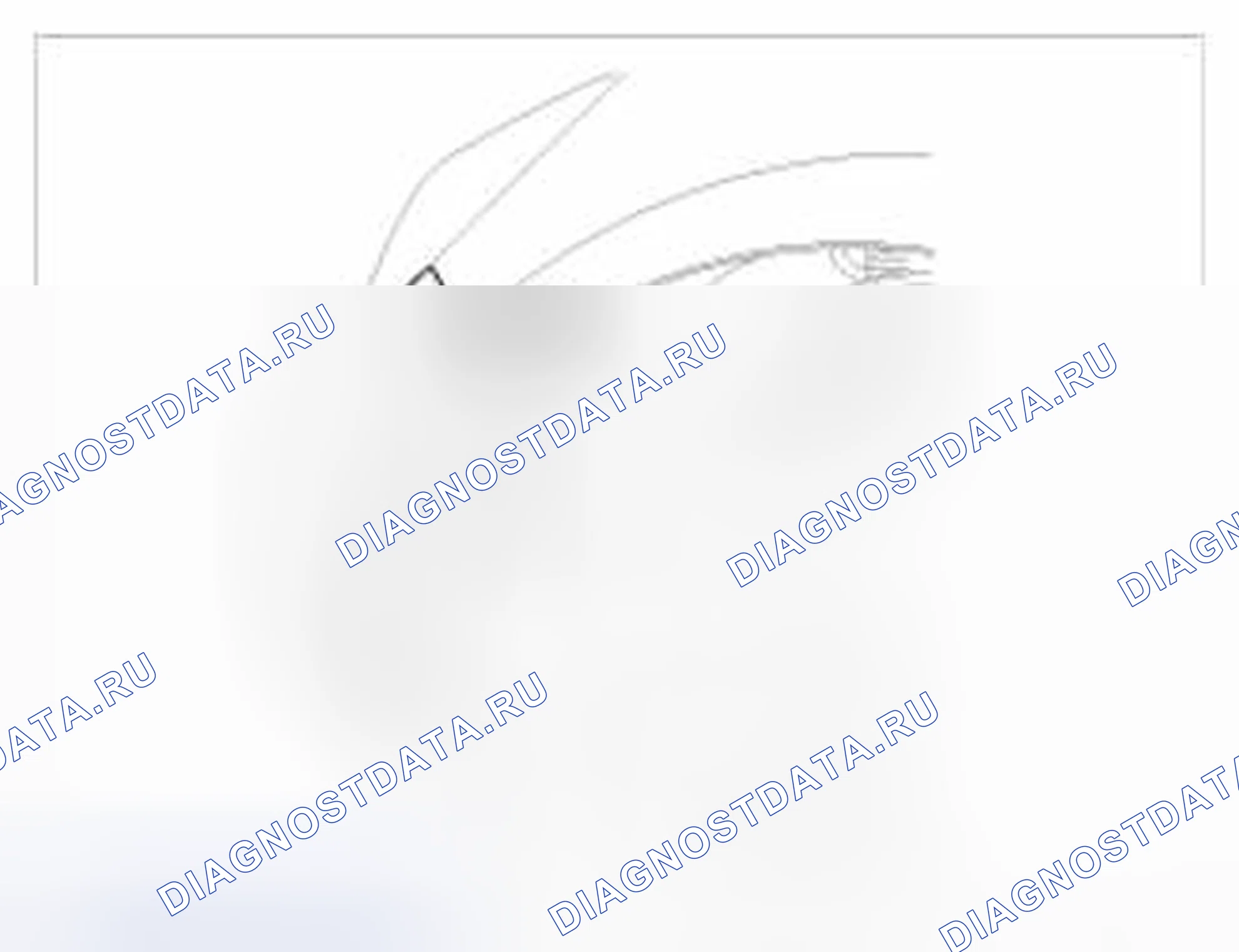 Рис. 4. BMW 6 серия F06/F13/F12