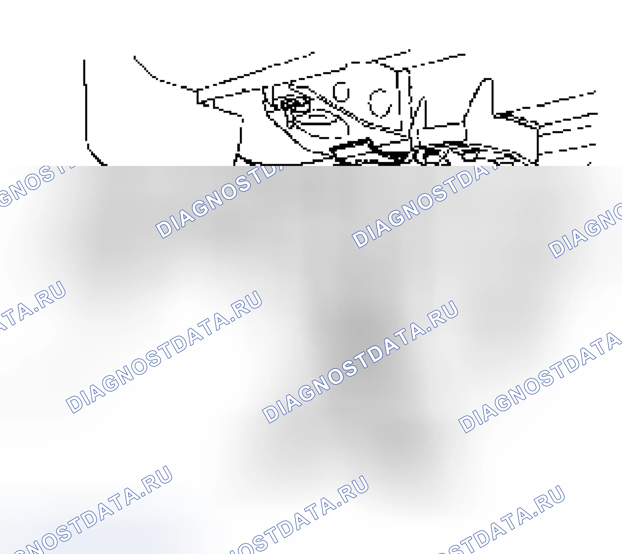 Рис. 17. Isuzu Axiom I