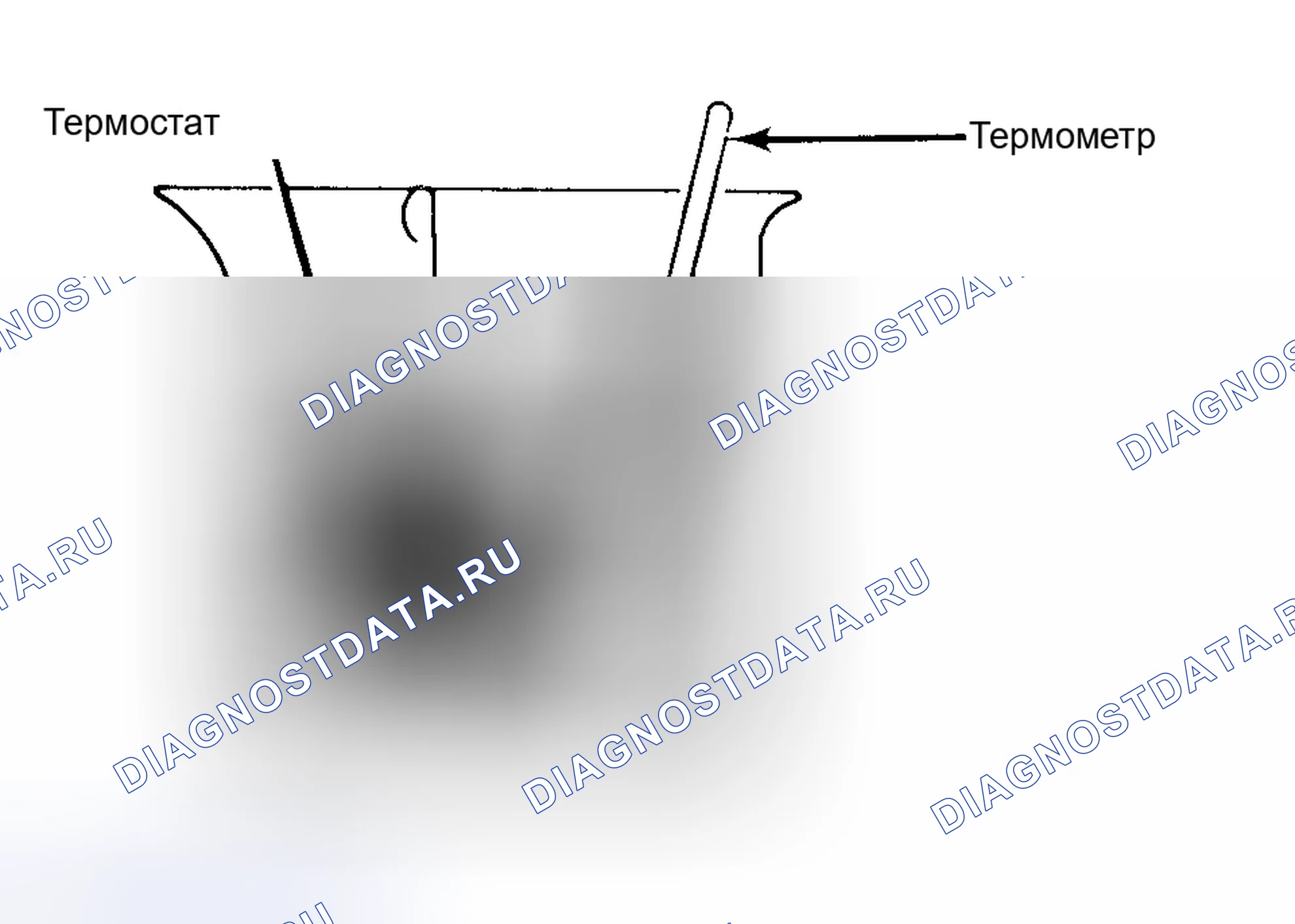 Рис. 1: Испытание термостата в растворе хладагент/вода. Hyundai IONIQ 6 I