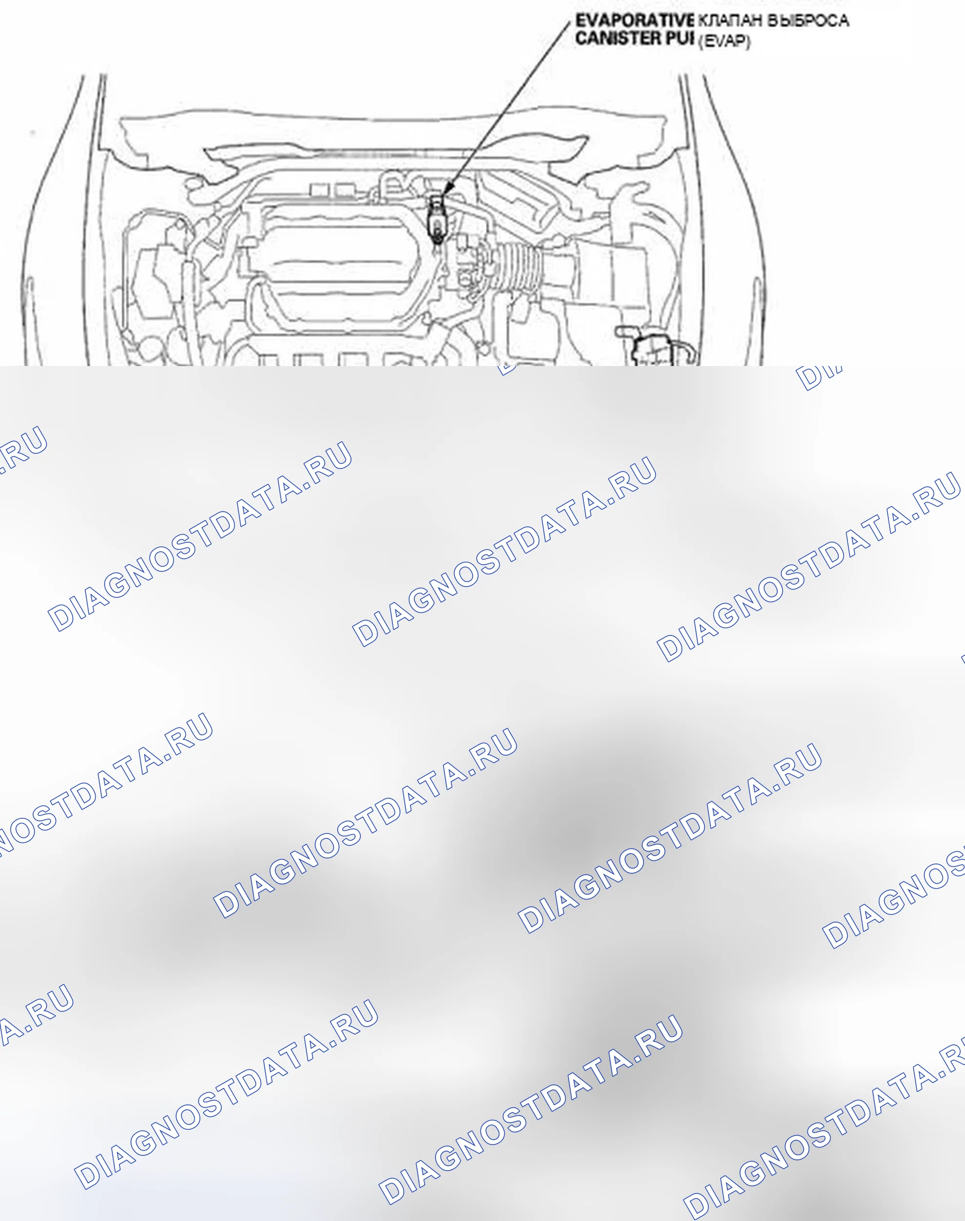 Рис. 22: Указатель расположения компонентов. Acura TSX II