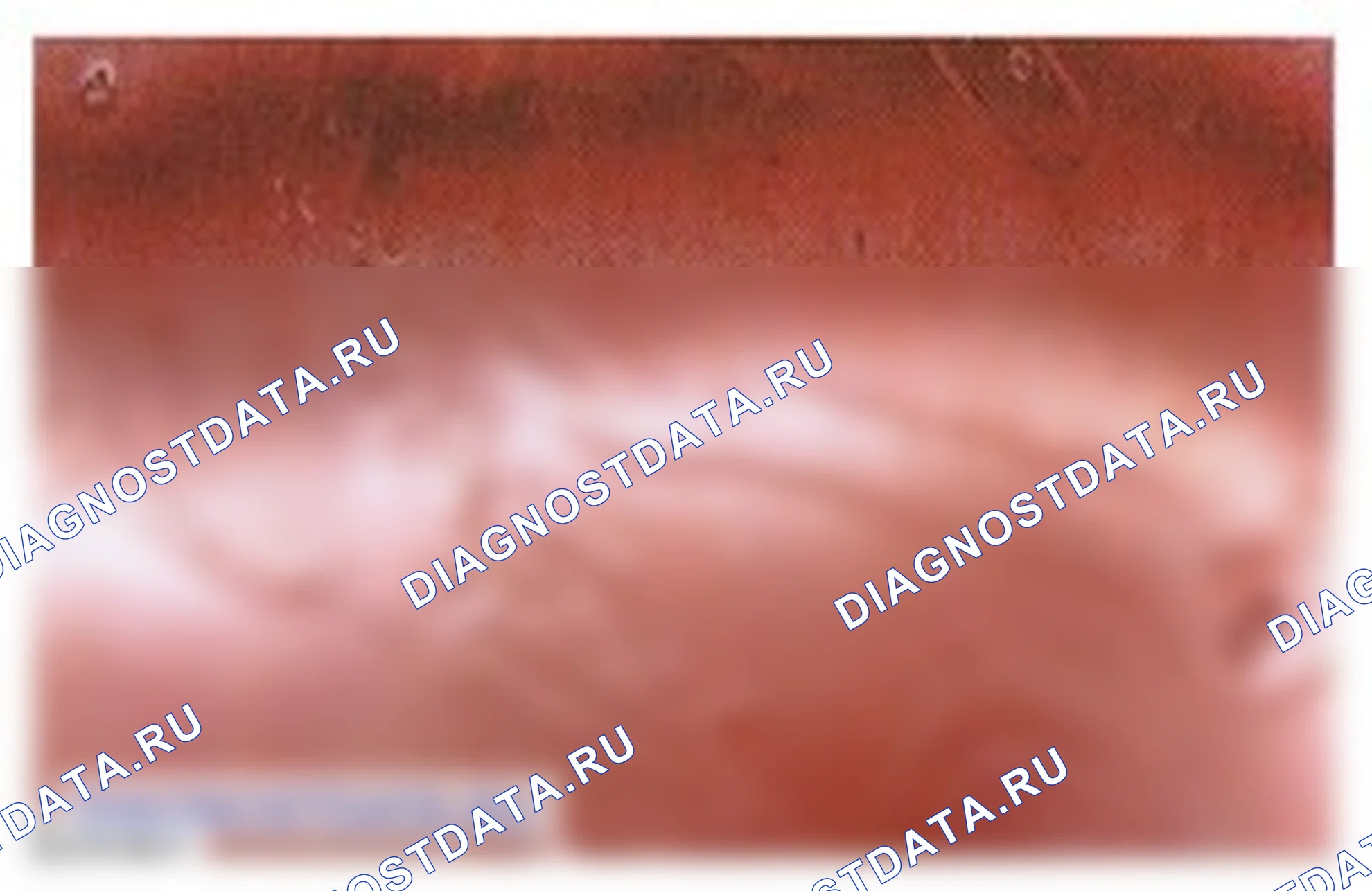 Дефекты и повреждение лакокрасочного покрытия: описание и работа. Ford Mondeo III рестайлинг