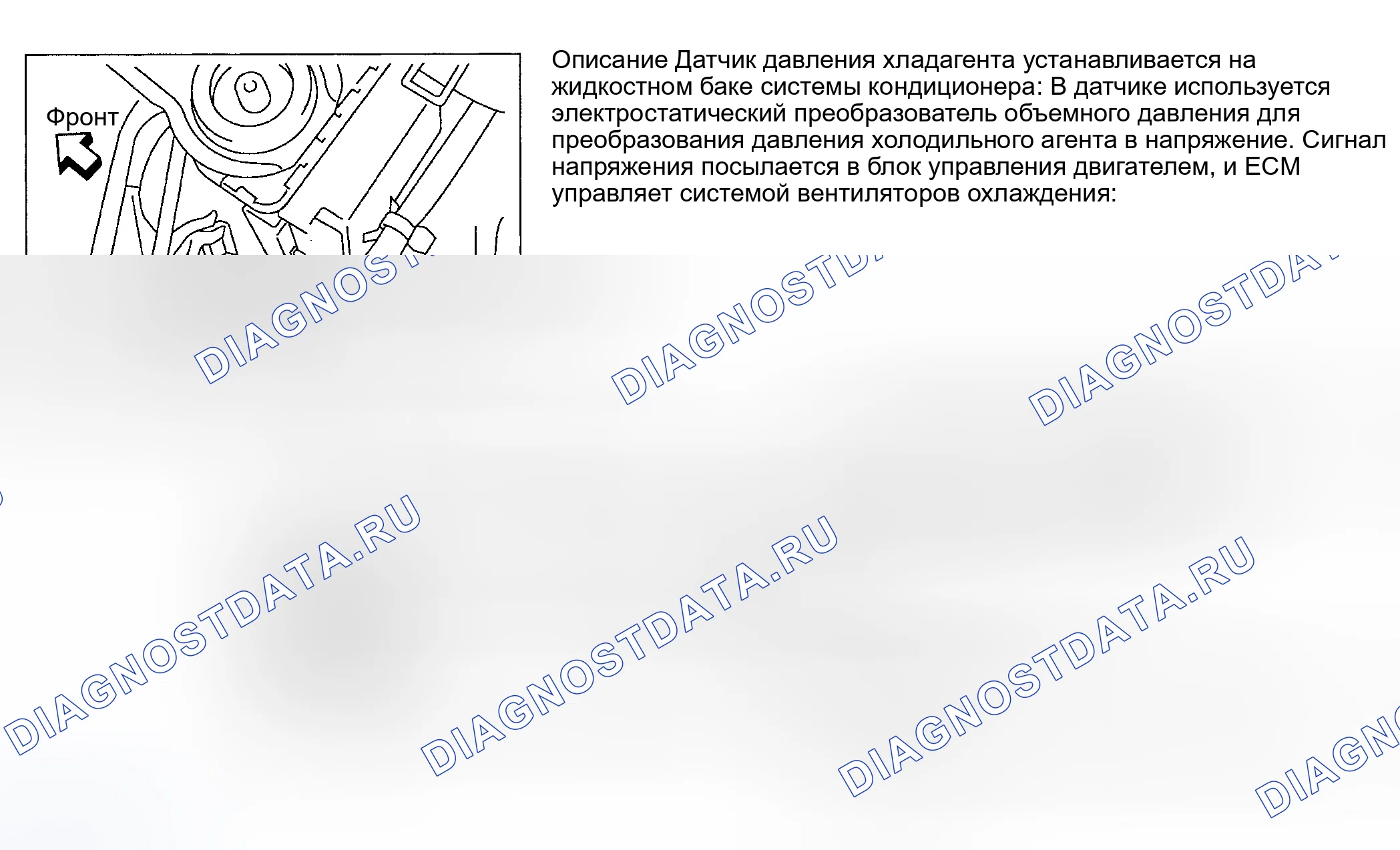 Рис. 181: Maxima. Nissan Sentra B15