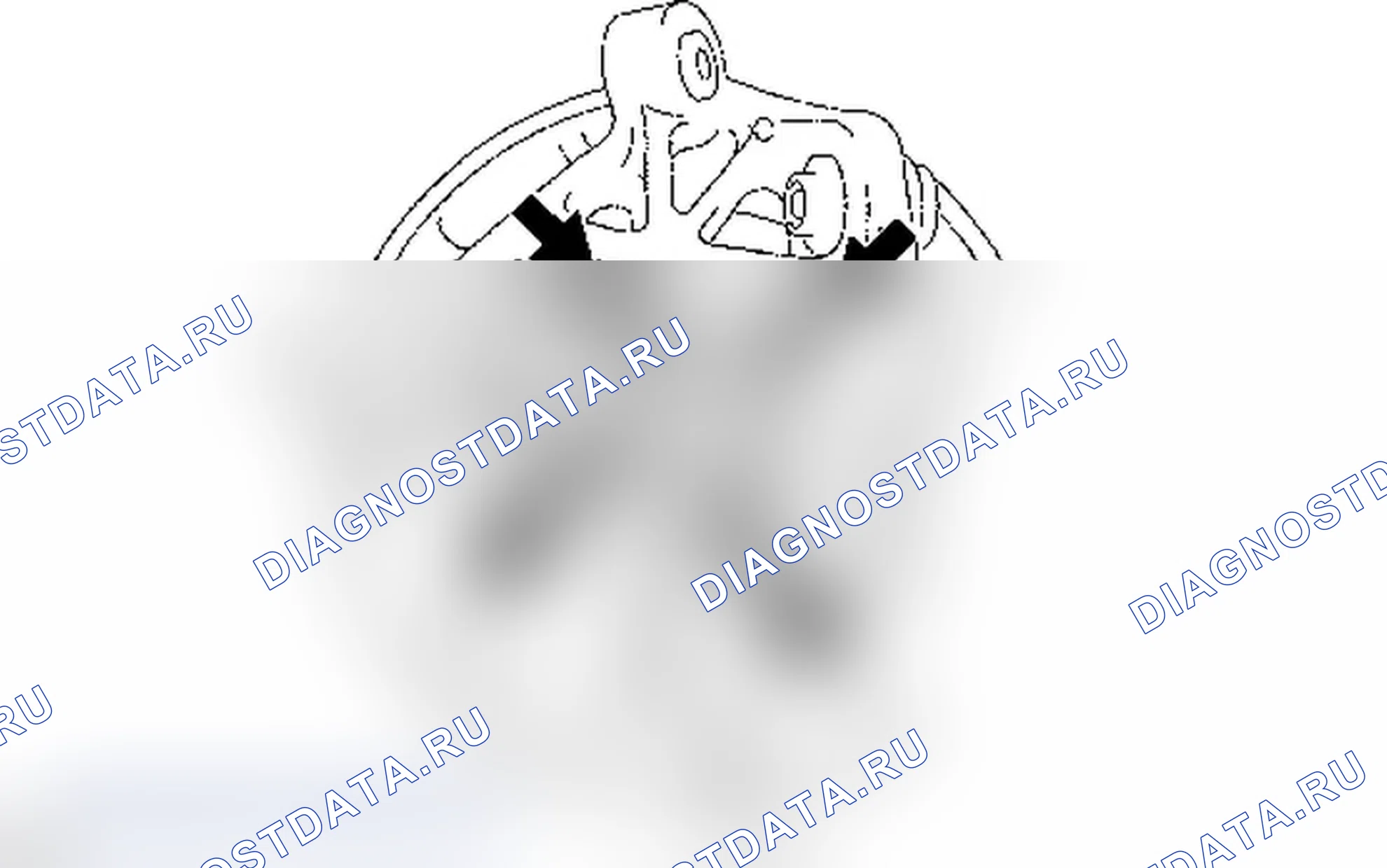 Рис. 32. Lexus IS F I