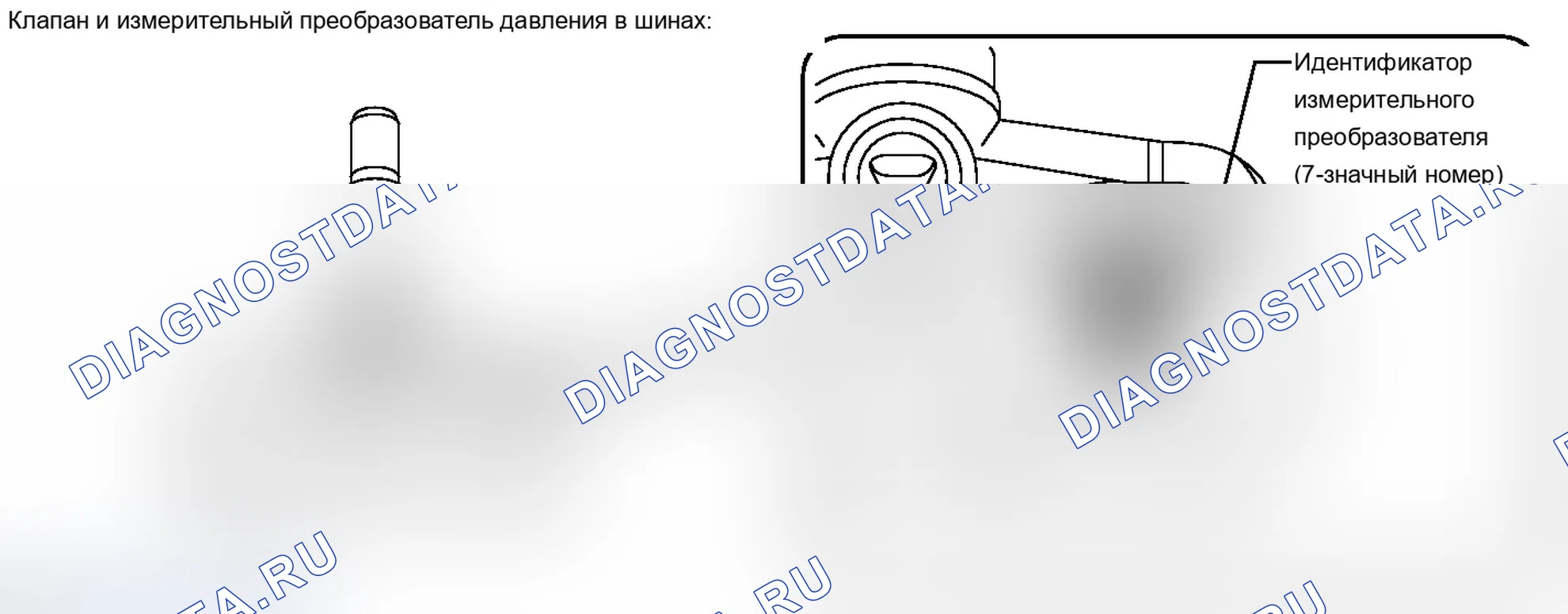 Рис. 2. Lexus IS F I