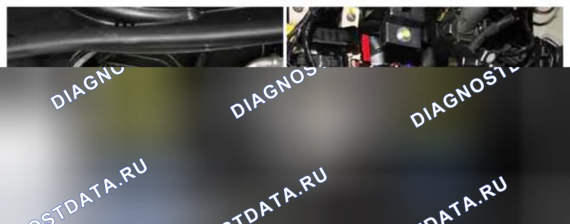 Рис. 204: Расположение компонентов. BMW 6 серия F06/F13/F12
