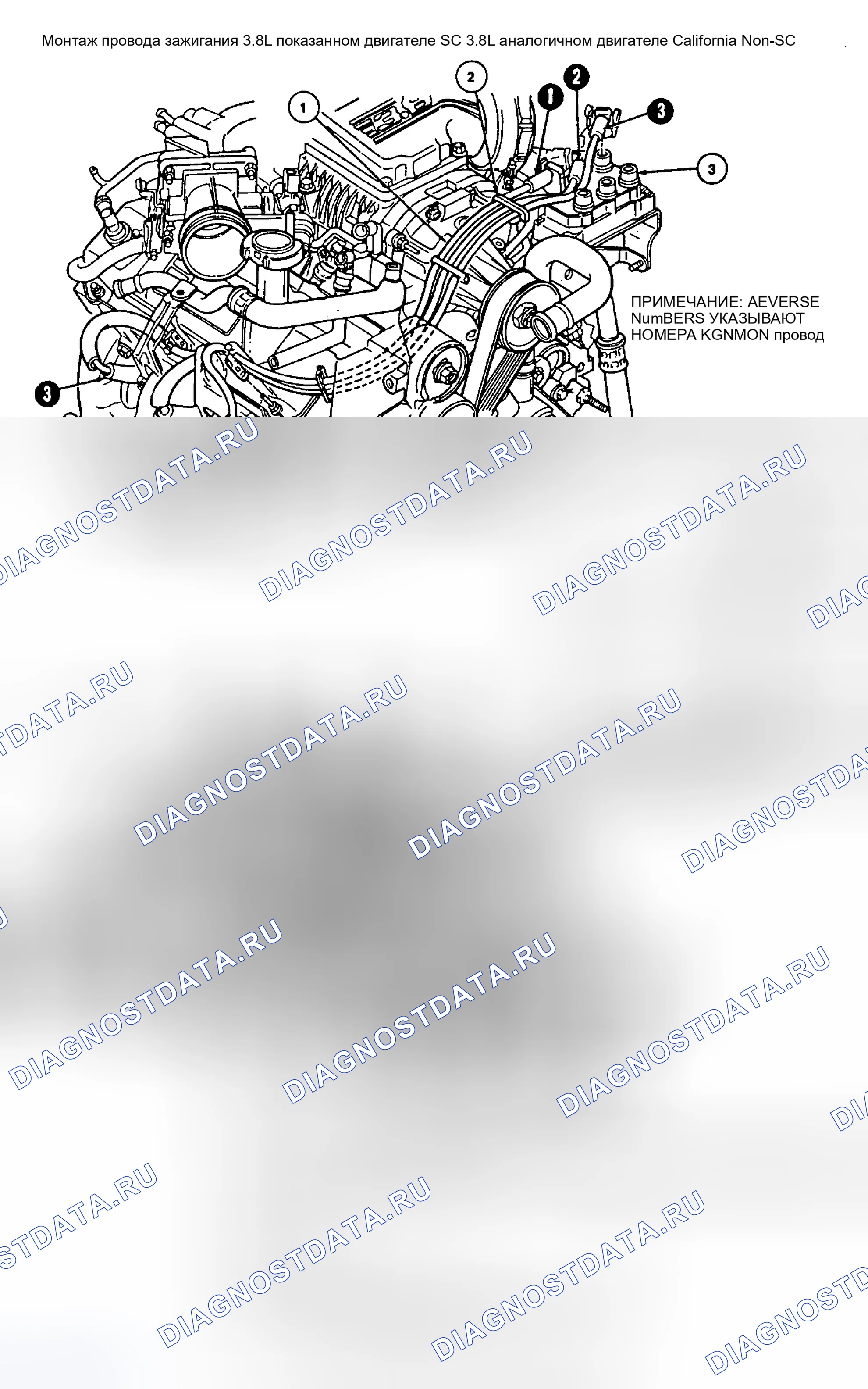 Рис. 7: Разводка проводов свечи зажигания (3,8 л Thunderbird SC - с наддувом). Hyundai Matrix I рестайлинг 2