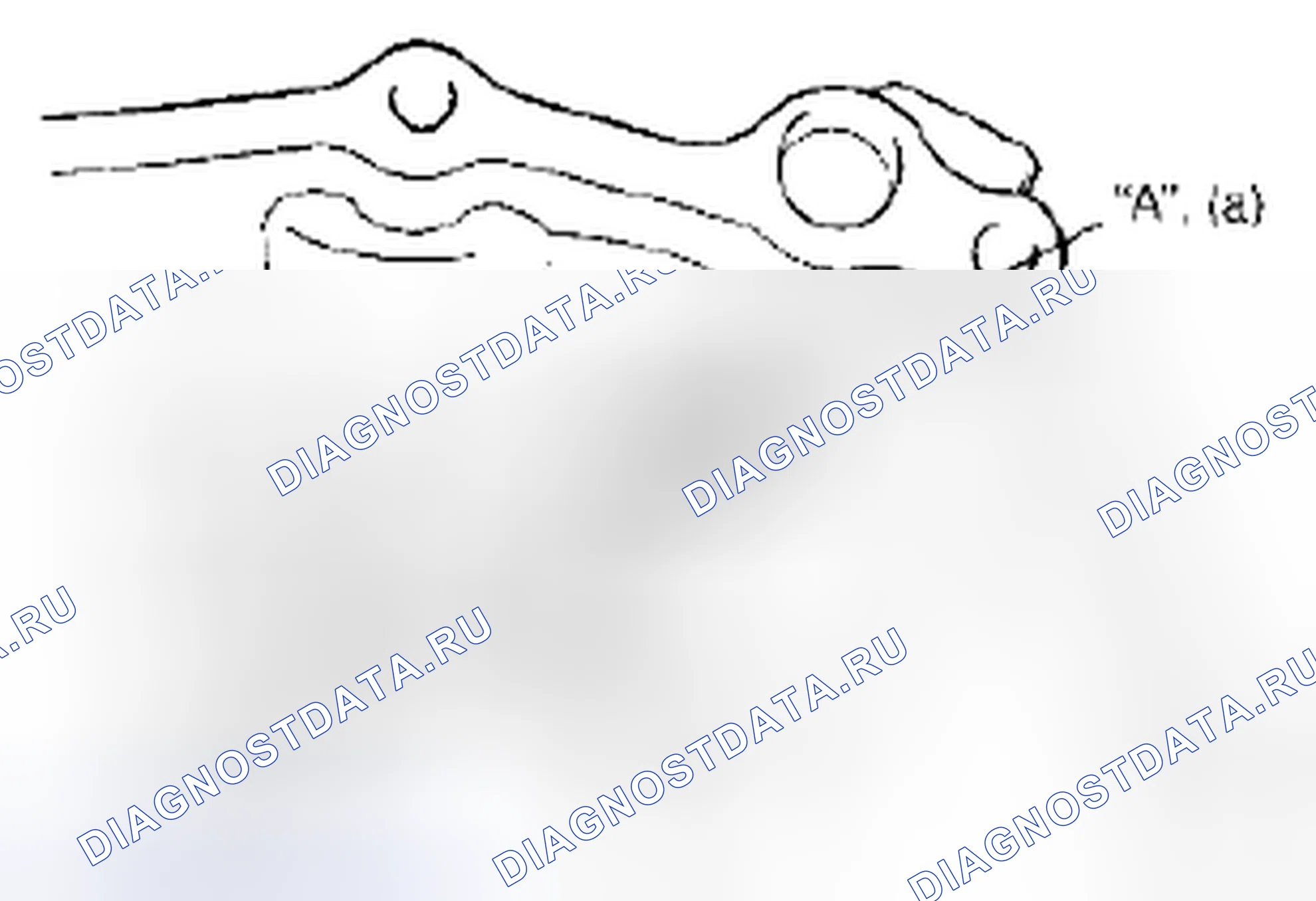 Рис. 52: Повторная сборка. Suzuki SX4 I