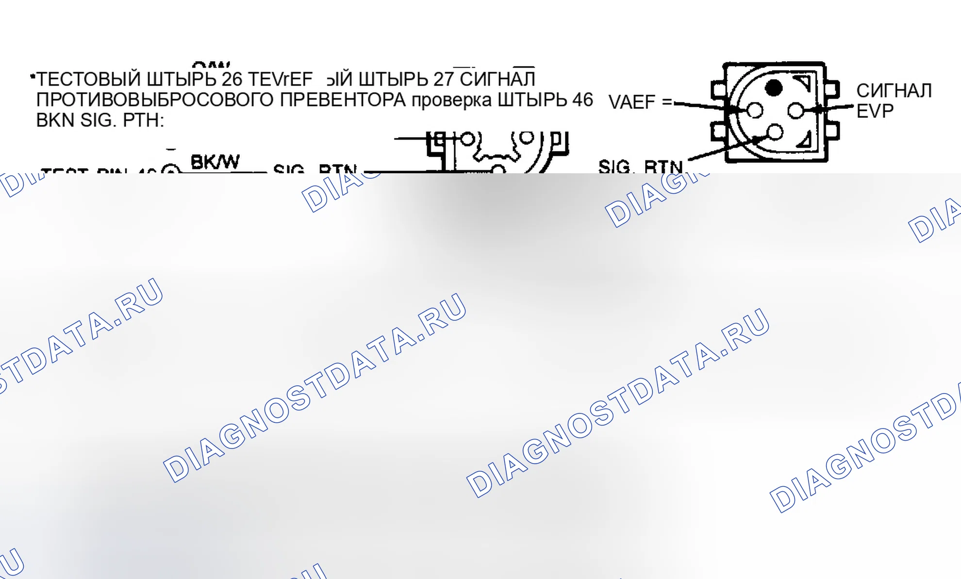 Рис. 42: Цепи электромагнитов EVP и EVR. Ford Econoline E150 