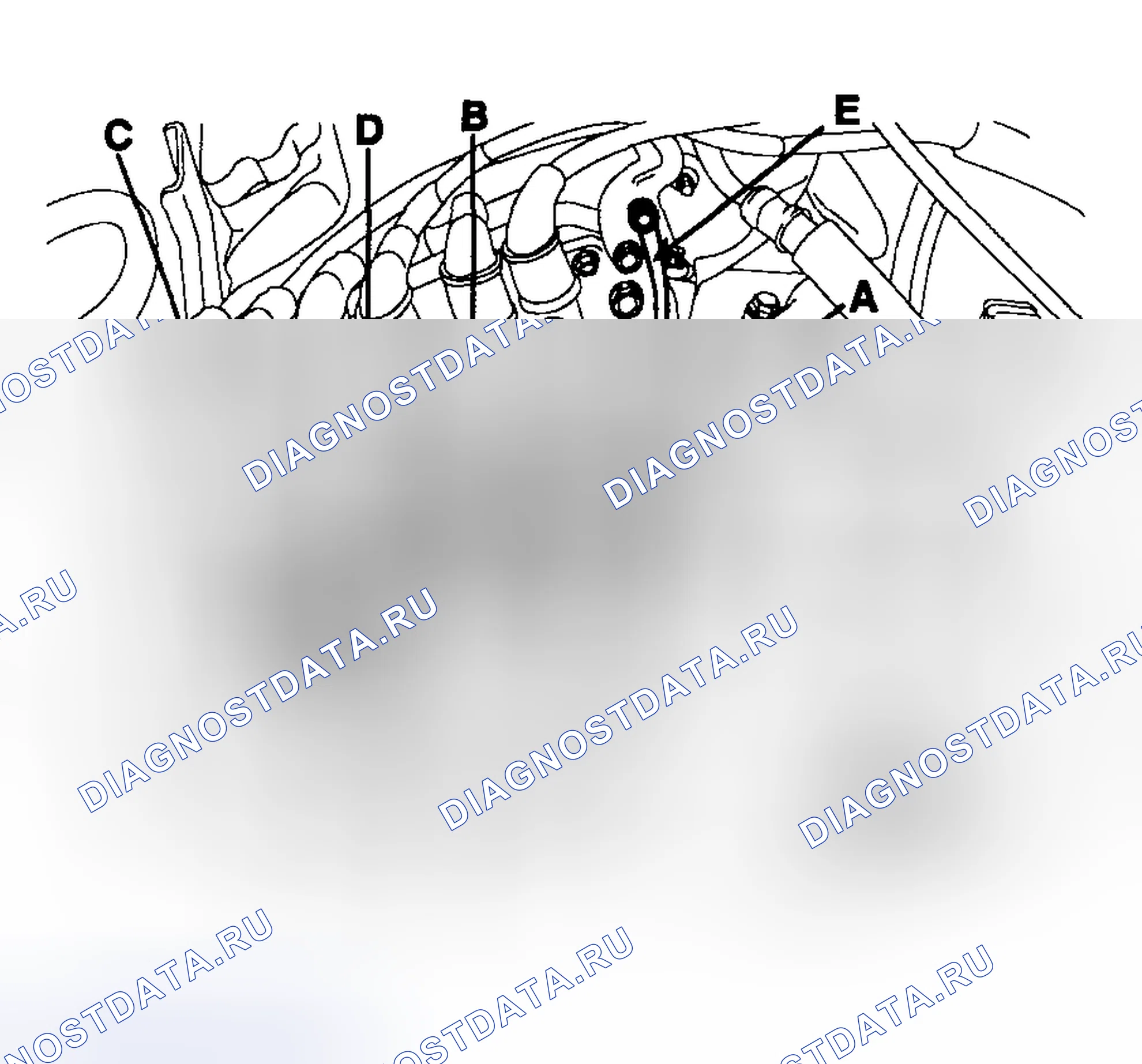 Рис. 216. Haval Chitu I