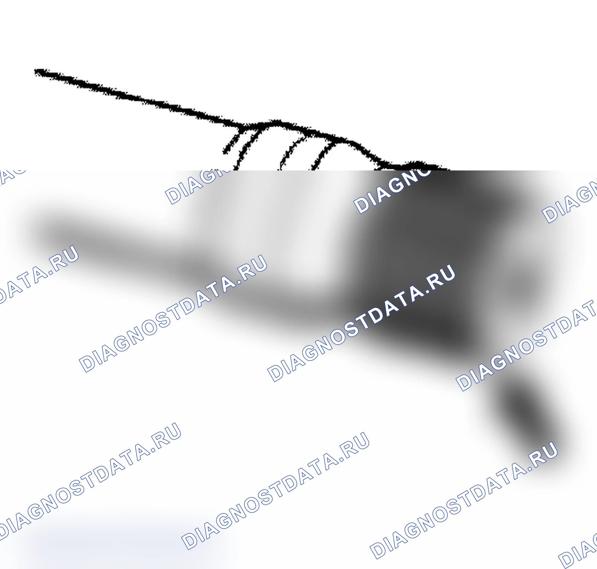 Рис. 18. Porsche 911 Carrera 4 996 рестайлинг
