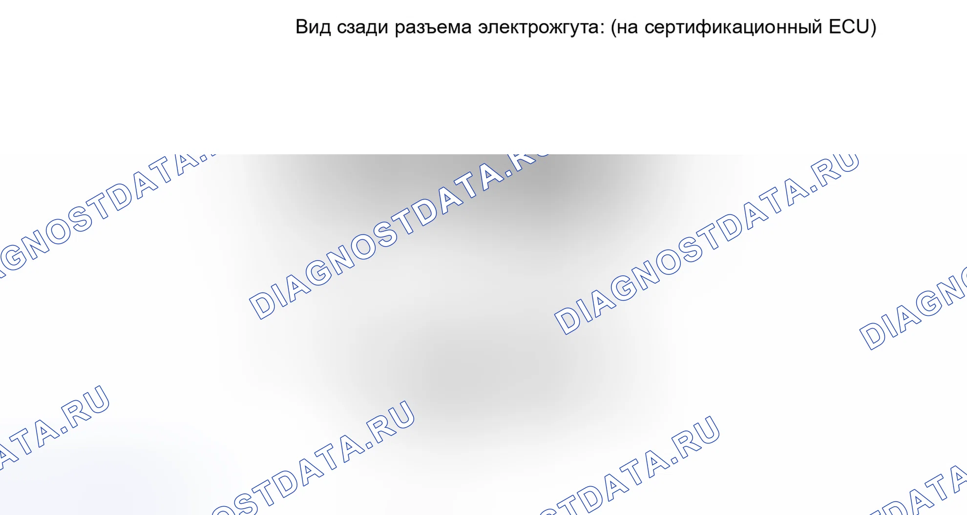 Рис. 169. Honda Accord IV