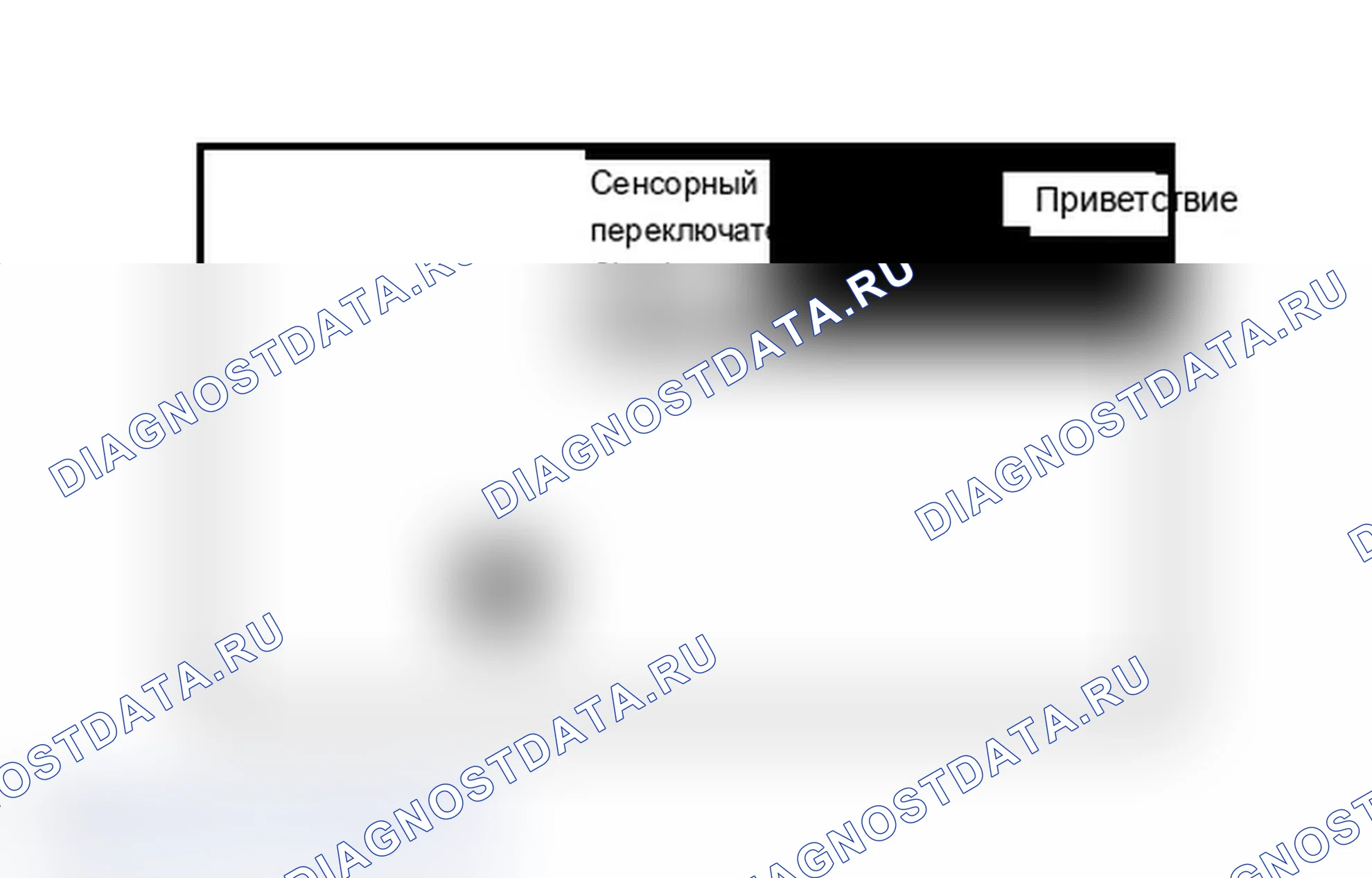 Рис. 46. Lexus IS F I