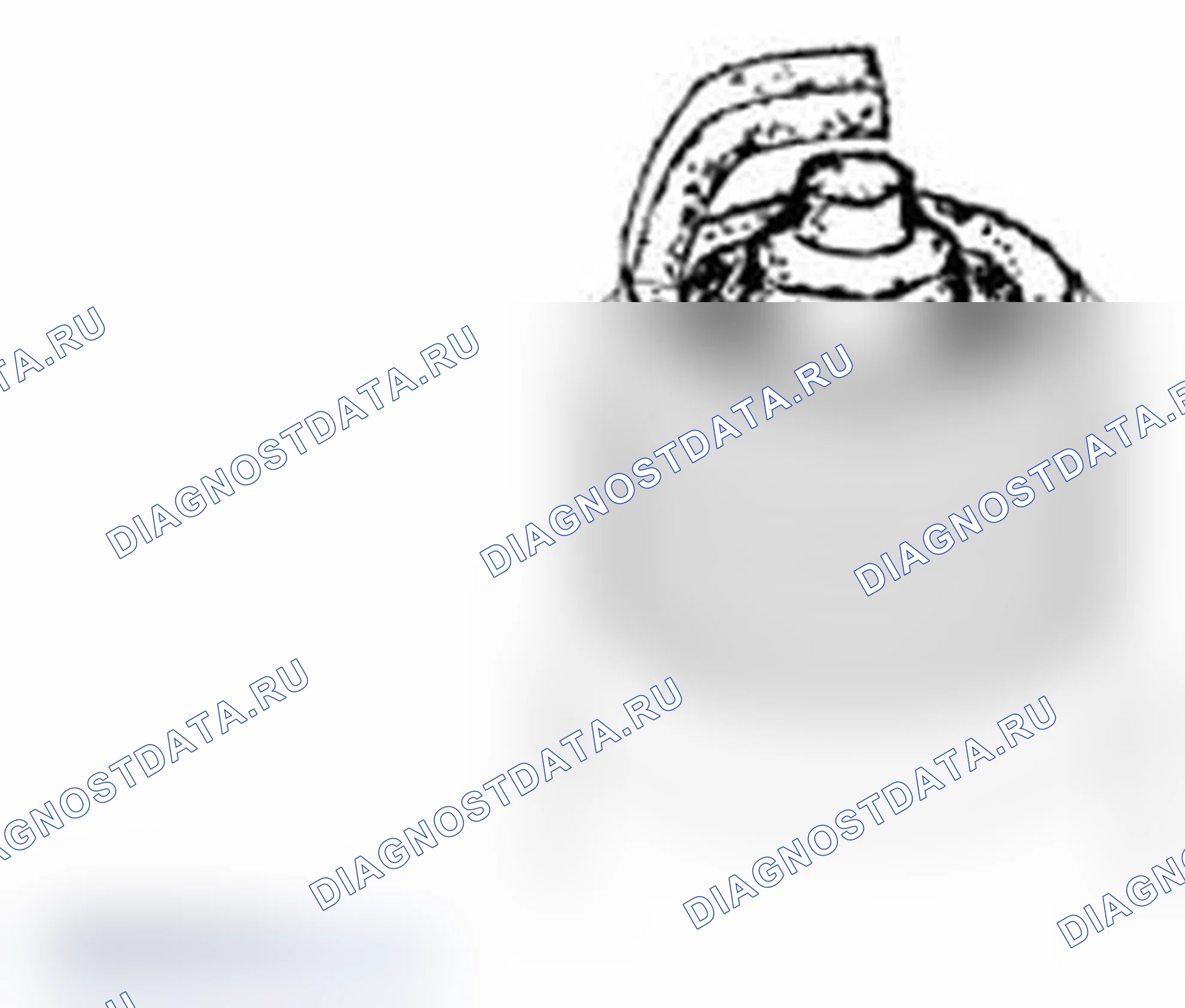 Рис. 405. Ford Transit Connect I рестайлинг