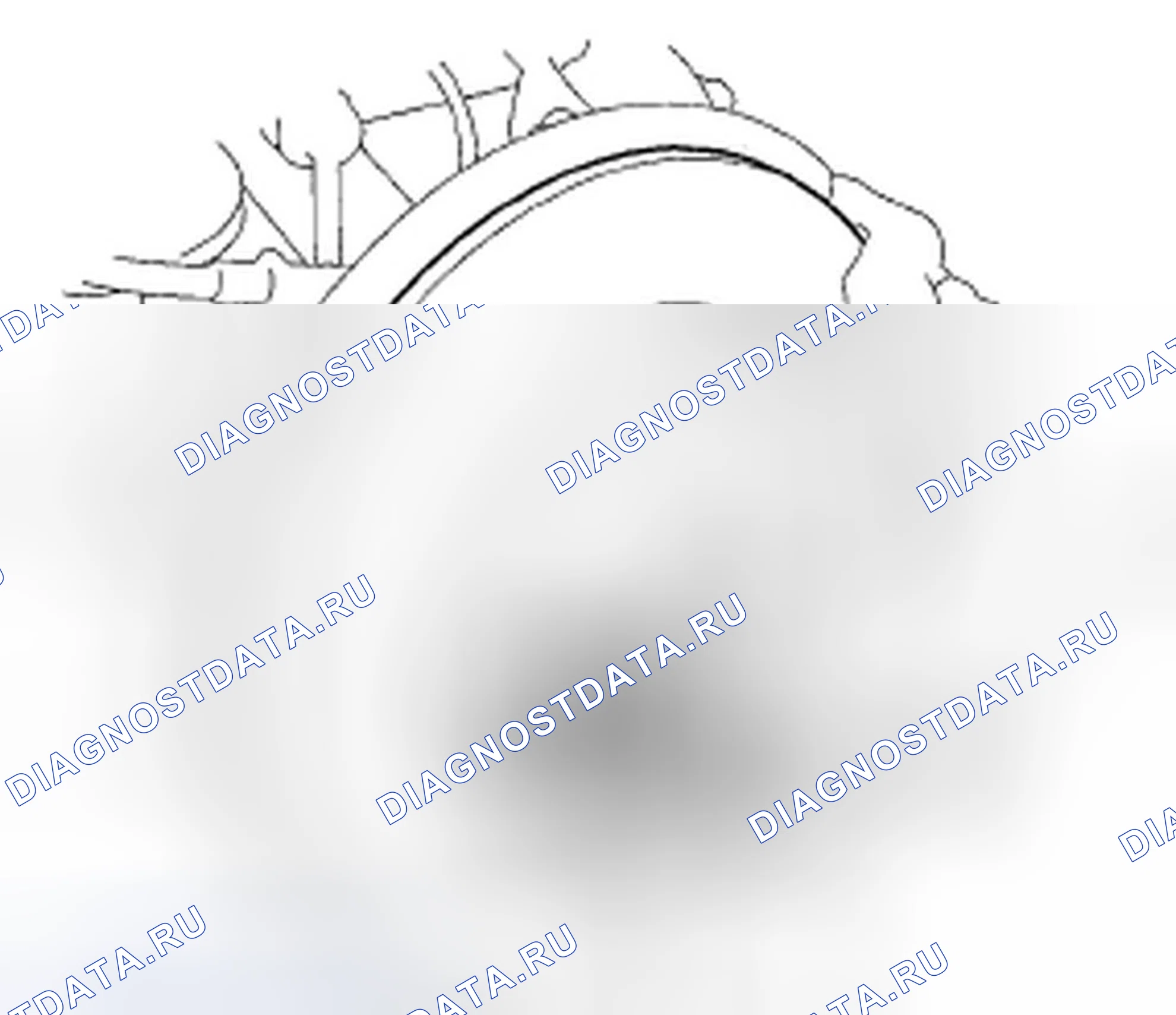 Рис. 81. Honda Element YH2 рестайлинг 2