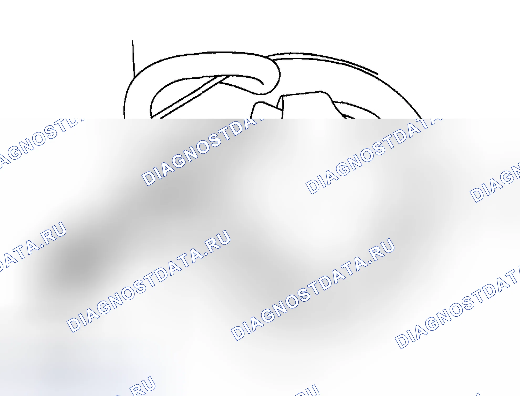 Рис. 11. Mazda Tribute I рестайлинг