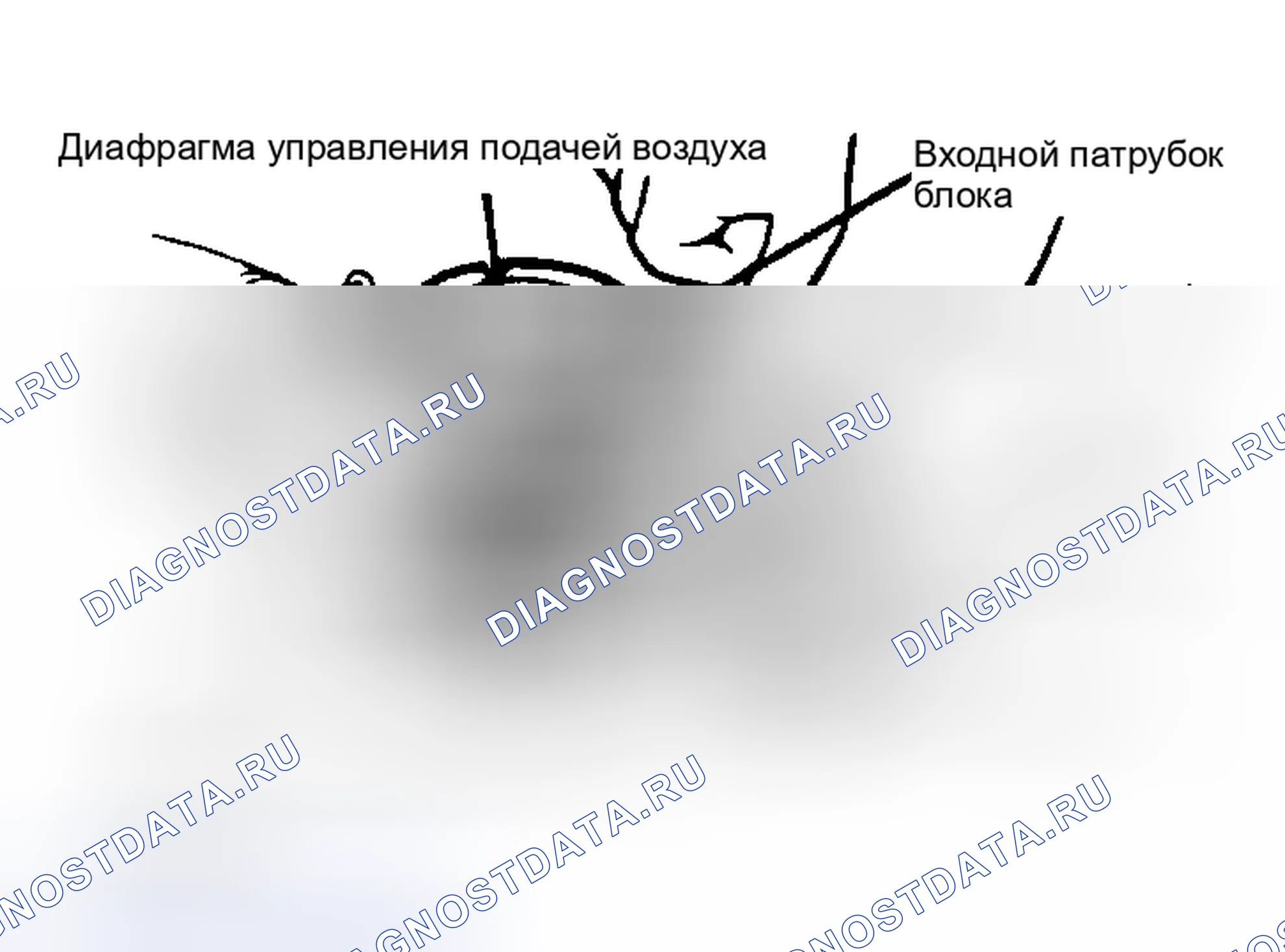 Рис. 10: Входной патрубок блока испытания диафрагмы управления воздухом и обратного клапана, как показано на рисунке.. Honda Prelude II