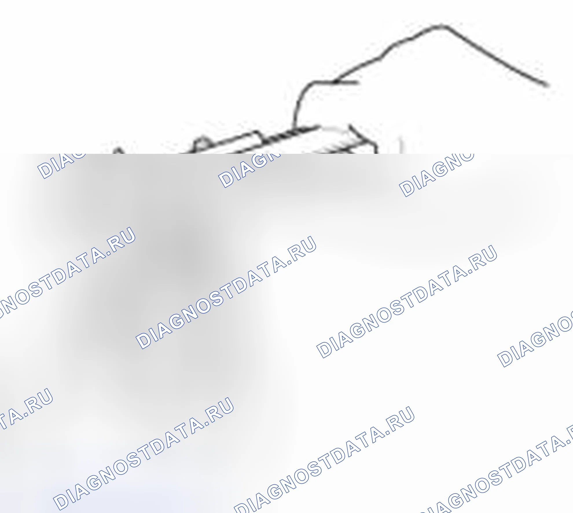 Рис. 22. Haval Beast (Shenshou) I