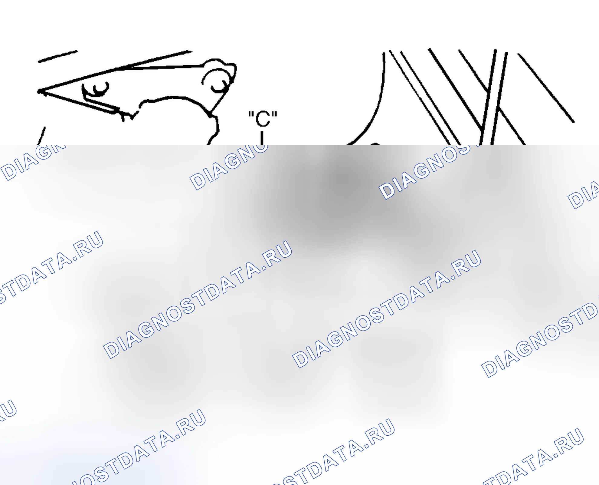 Рис. 3: Сефия и спектры. Geely Xingyue S I
