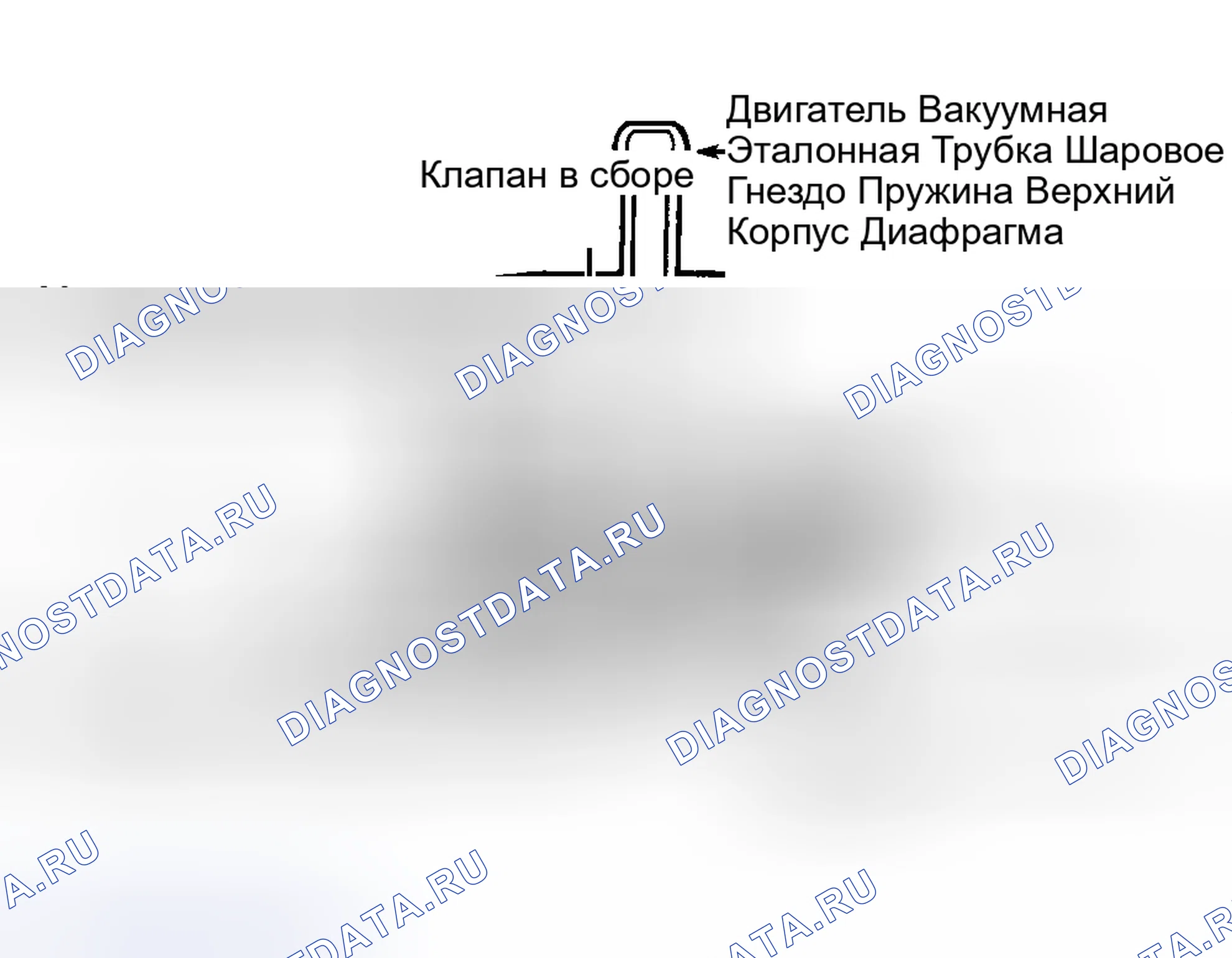 Рис. 203: Идентификация компонентов регулятора давления топлива. Mazda 121 II