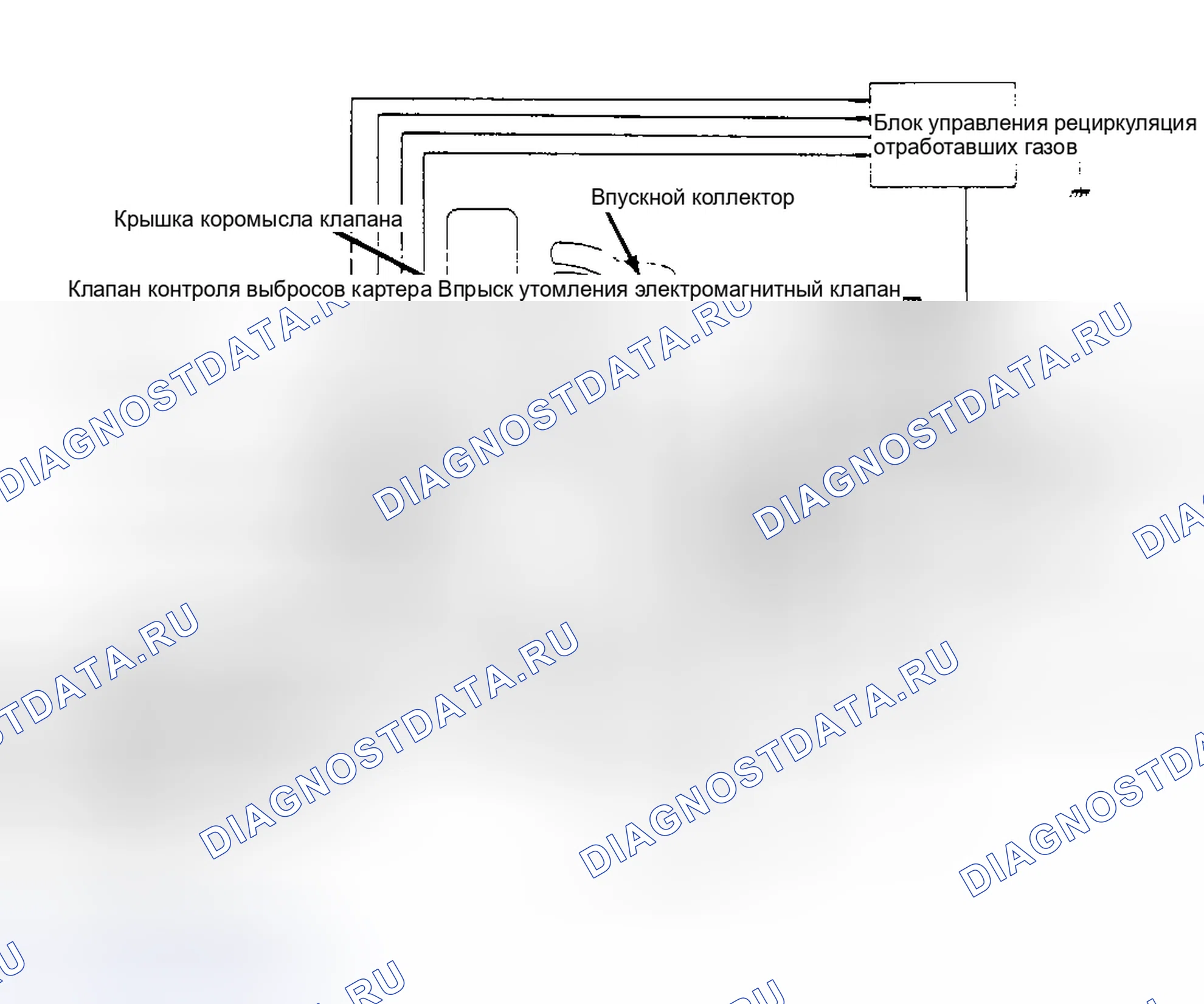 Рис. 8: Система управления рециркуляция отработавших газов (Maxima - дизель). Nissan Maxima G910