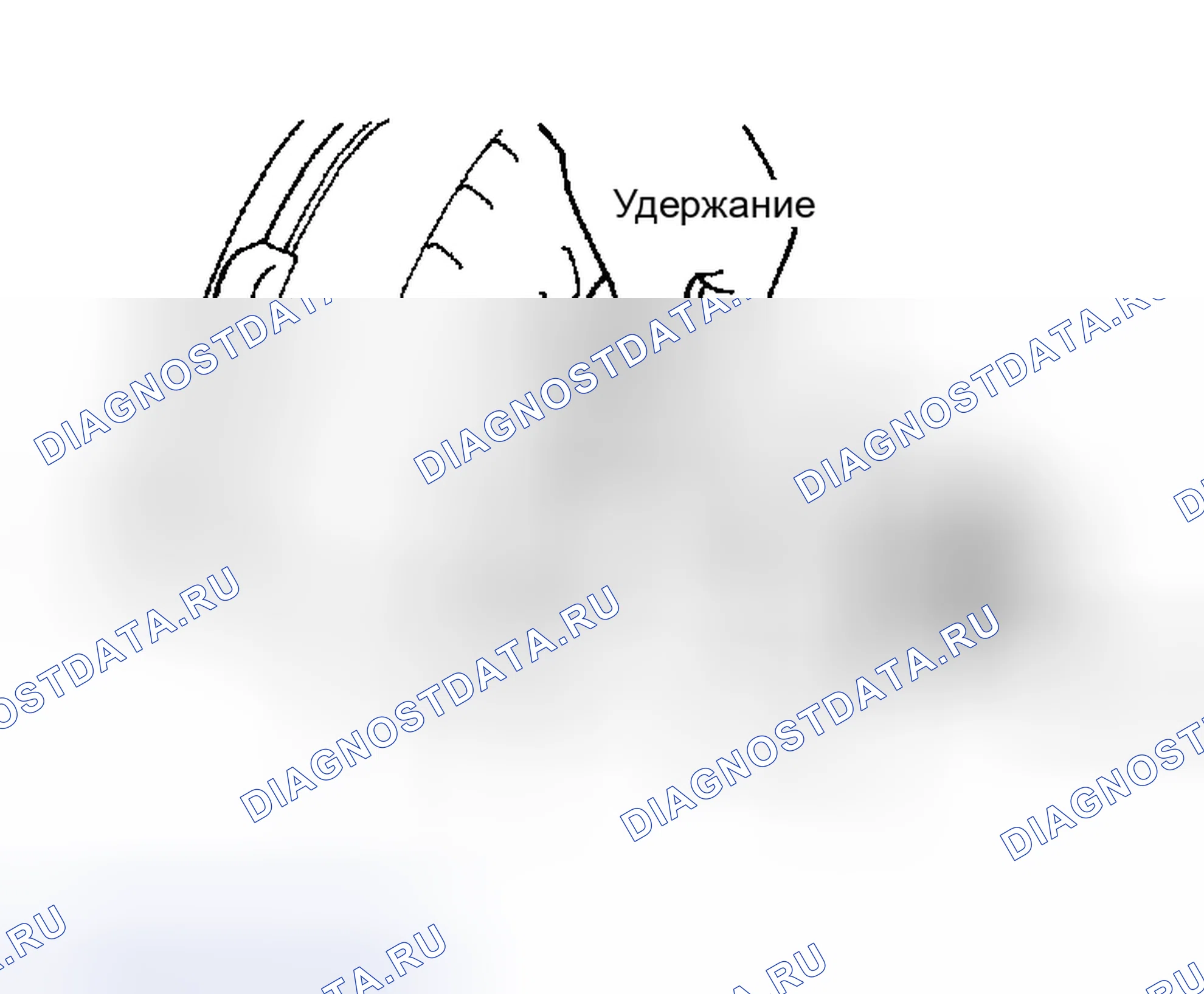 Рис. 272. Lexus RX II