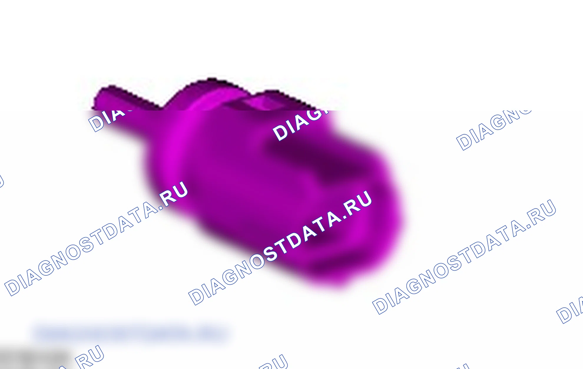 Электронные органы управления: описание и работа. Ford C-MAX I рестайлинг