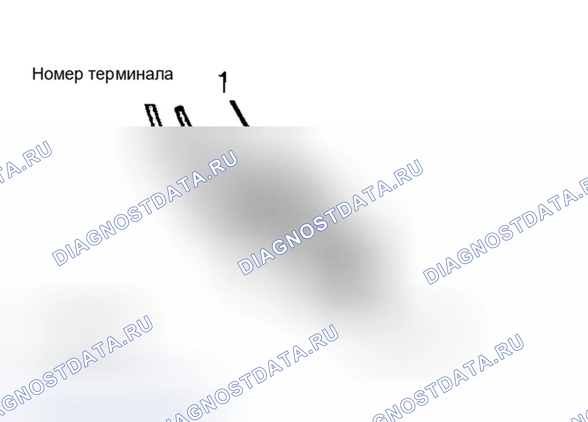 Рис. 16. Dodge Dakota WS 