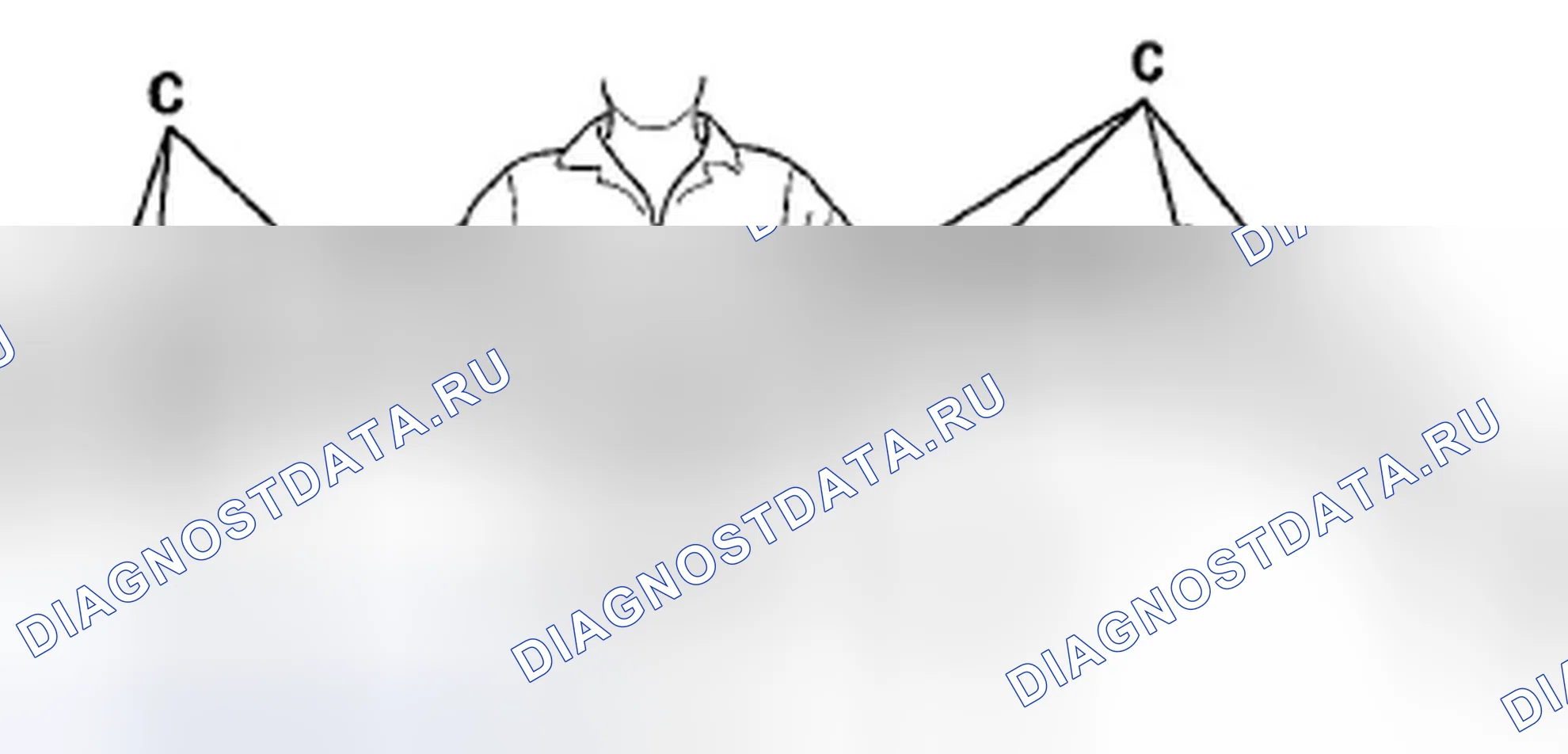 Рис. 476: Седан. Acura TSX II