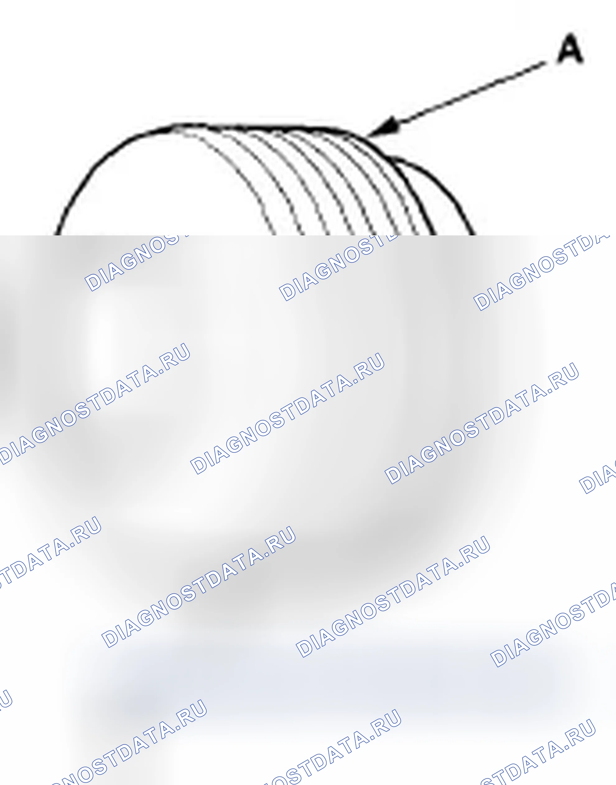 Рис. 6. Honda Civic VIII