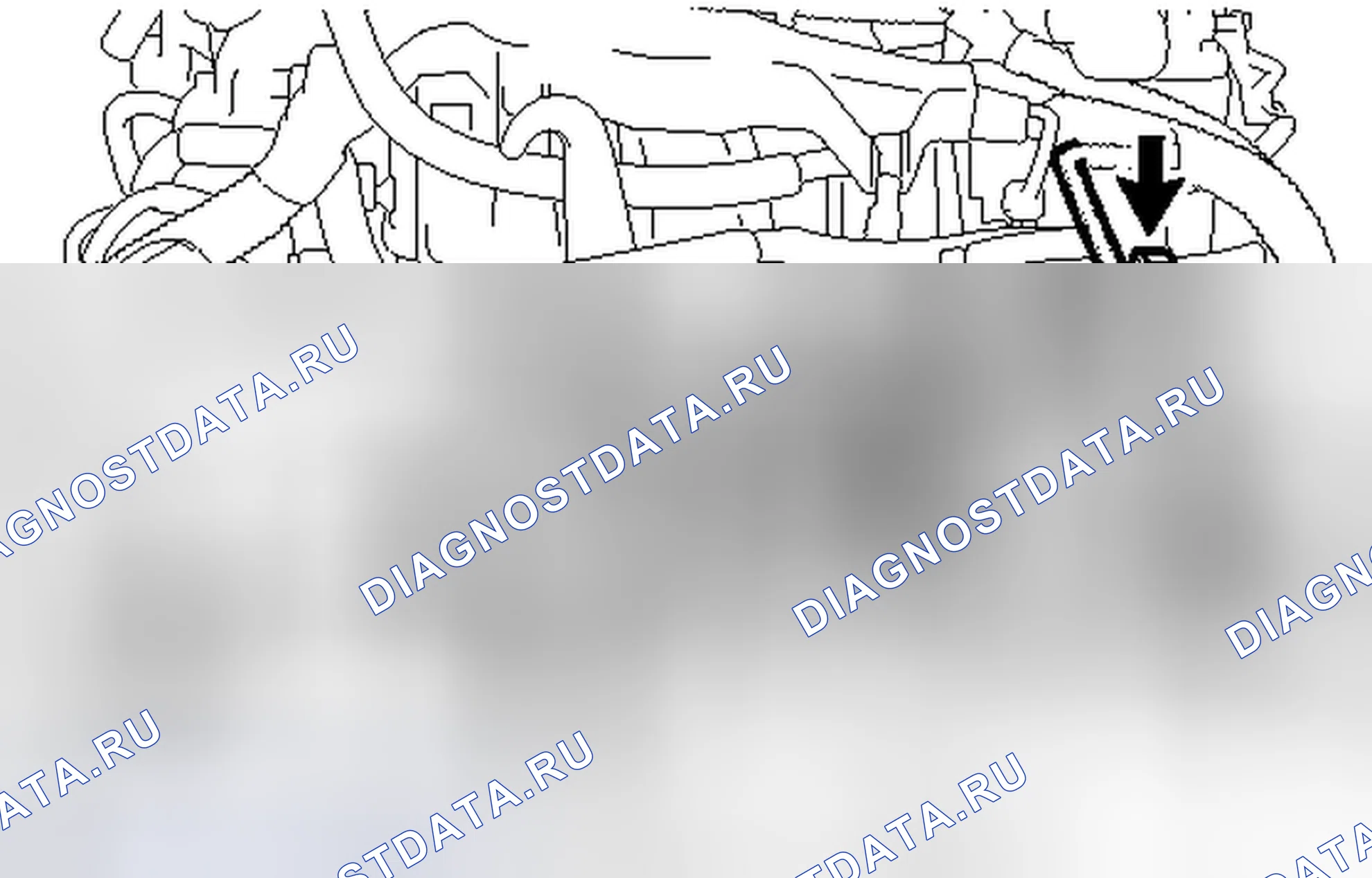 Рис. 61. Honda Accord IV