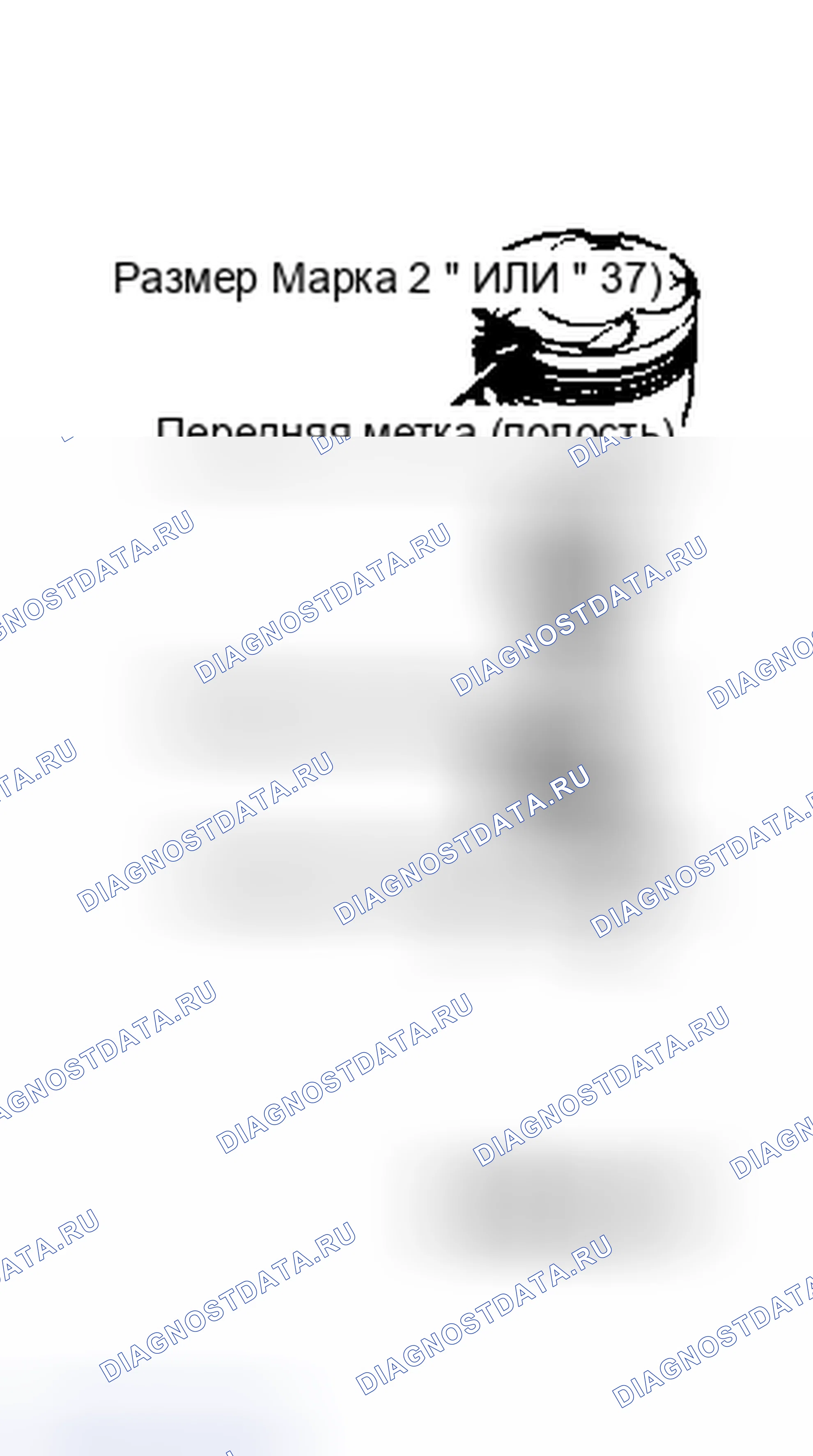 Рис. 24. Toyota MR2 W20