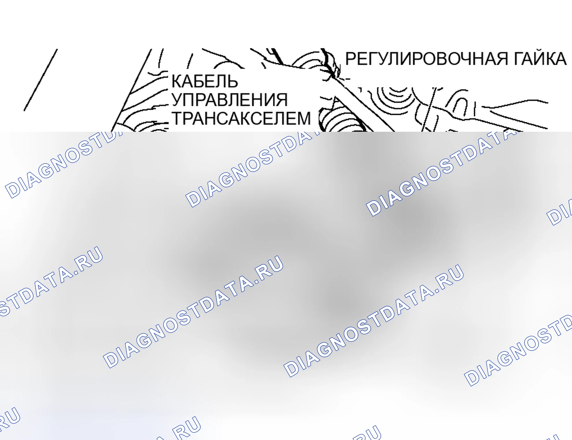 Рис. 516: ПЕРЕКЛЮЧАТЕЛЬ ДИАПАЗОНА ПЕРЕДАЧИ И РЕГУЛИРОВКА ТРОСА УПРАВЛЕНИЯ. Mitsubishi Lancer Evolution IX