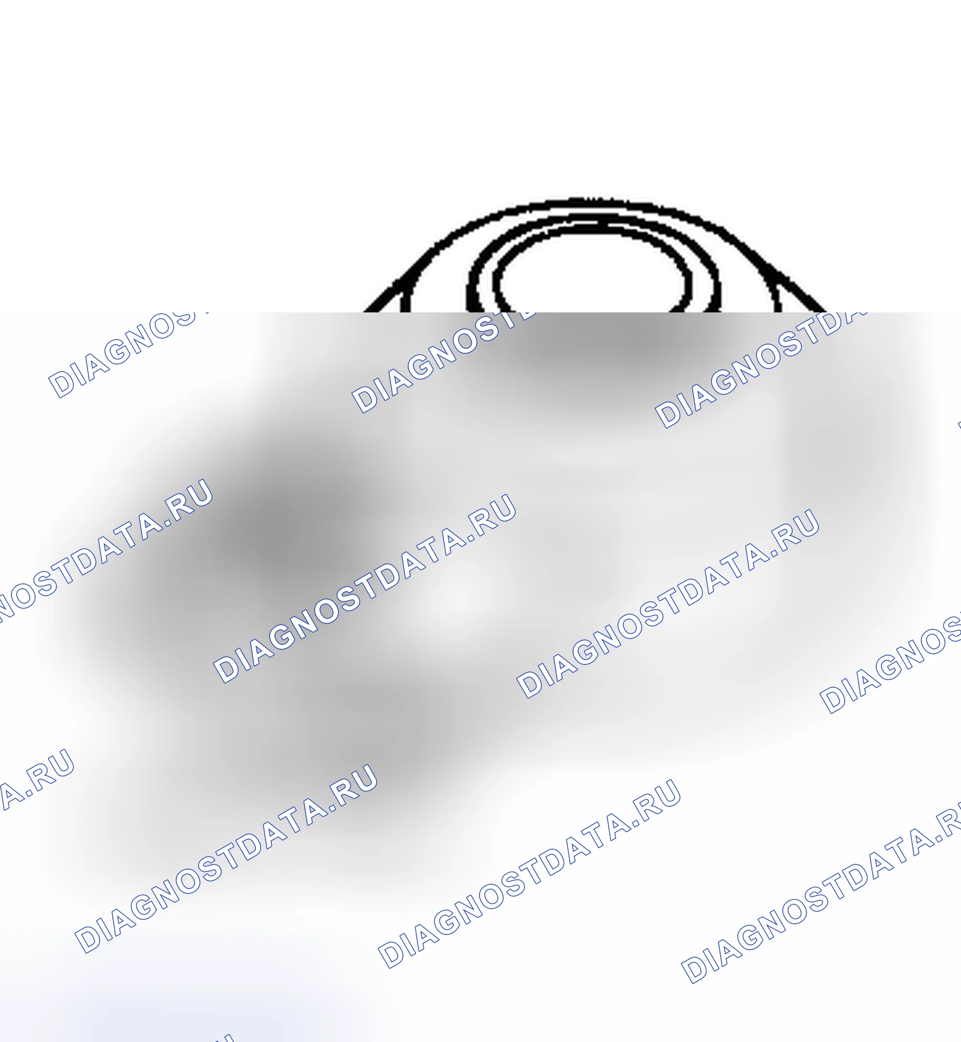 Рис. 2. Nissan 350Z I
