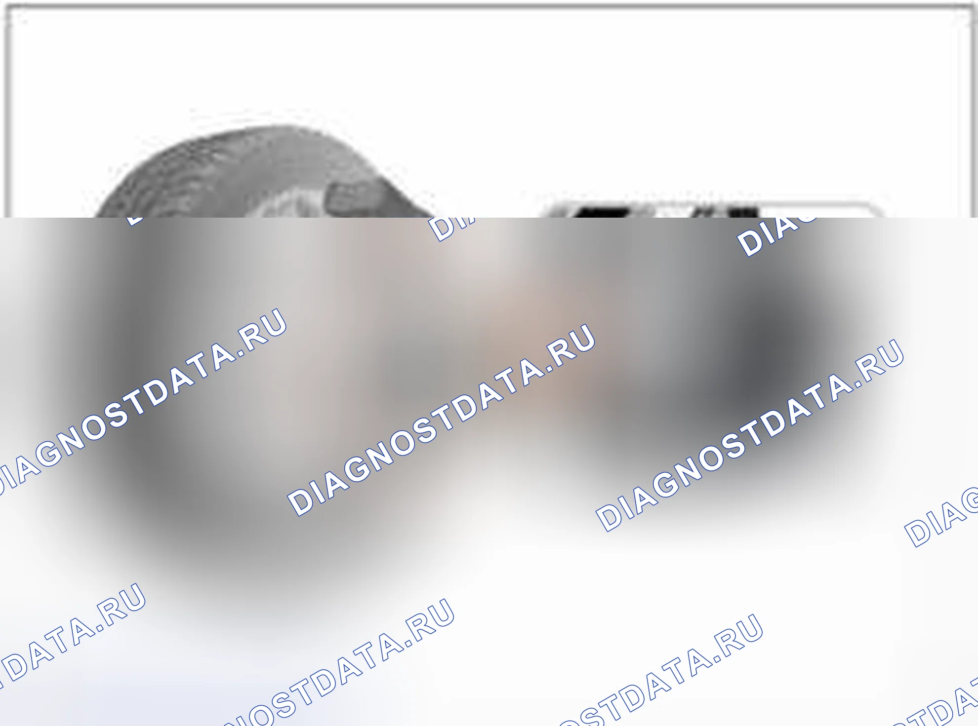 Рис. 99. BMW 6 серия F06/F13/F12