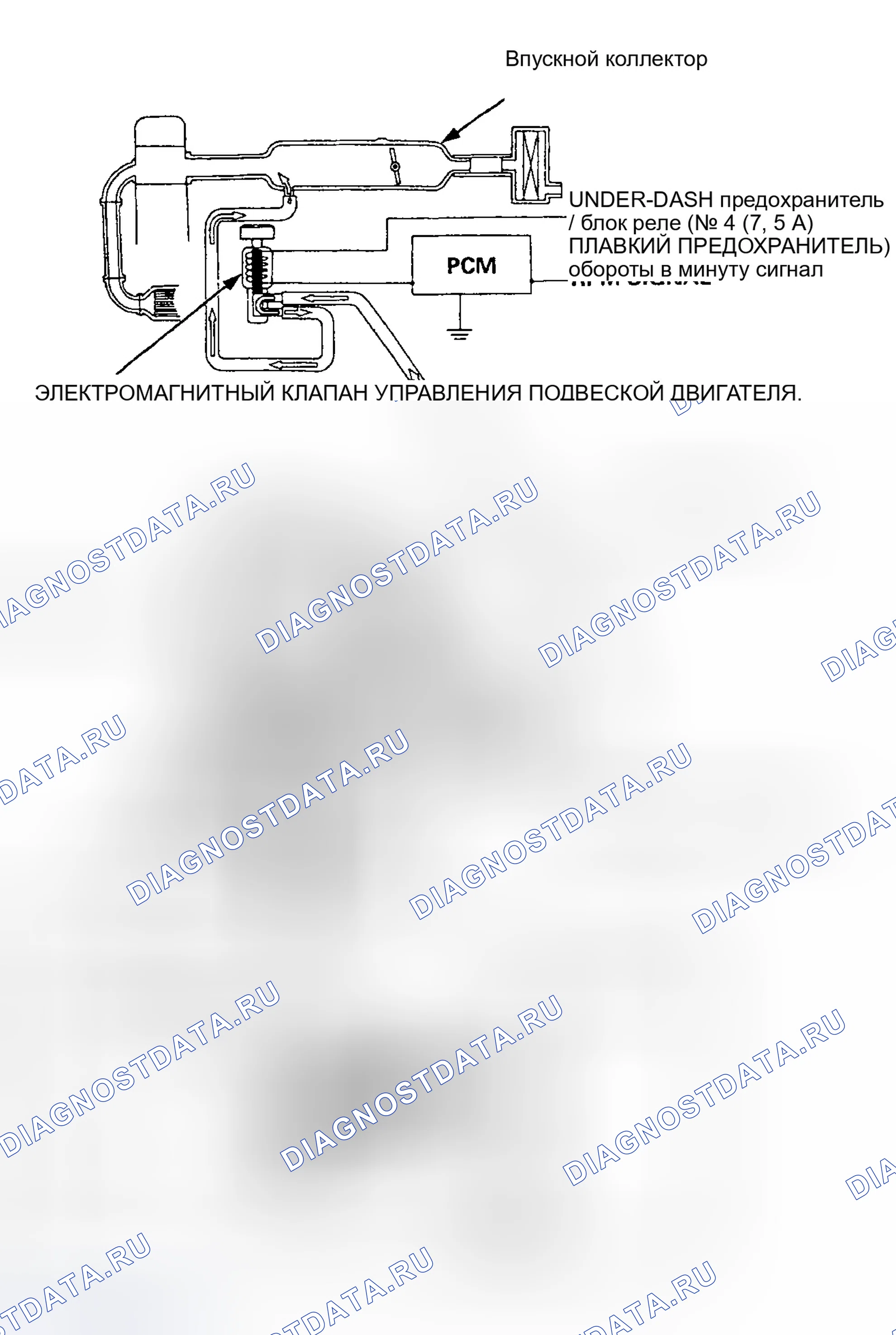 Рис. 2. Honda Accord V