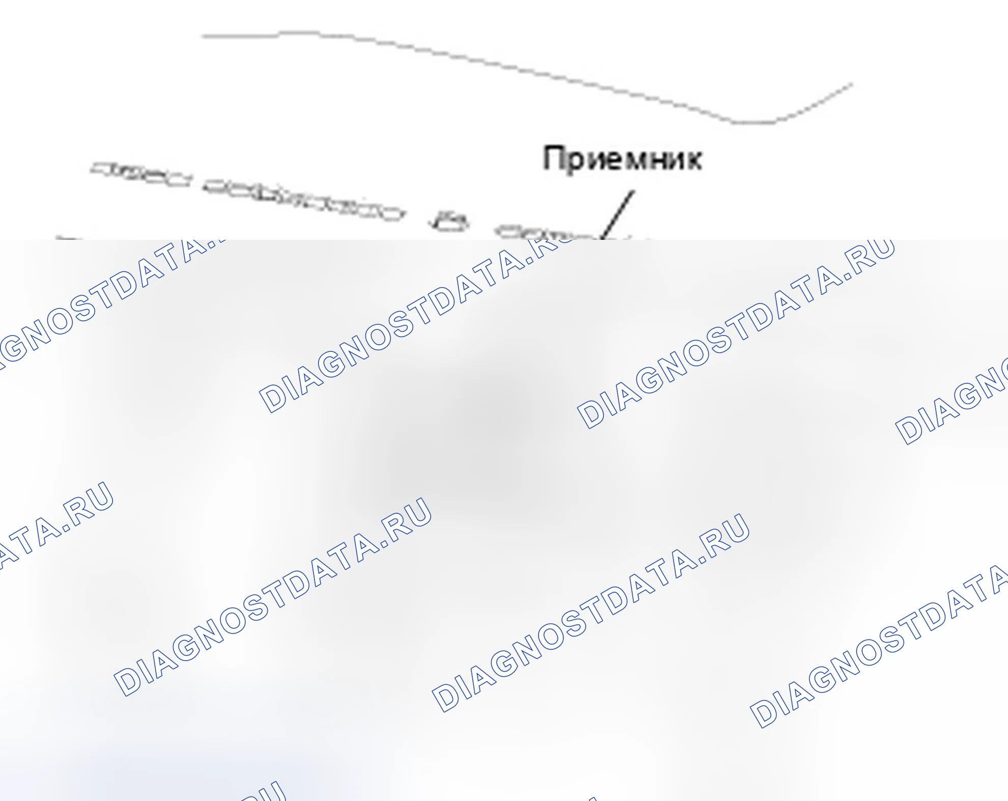 Рис. 123: Расположение компонентов. Hyundai Accent III