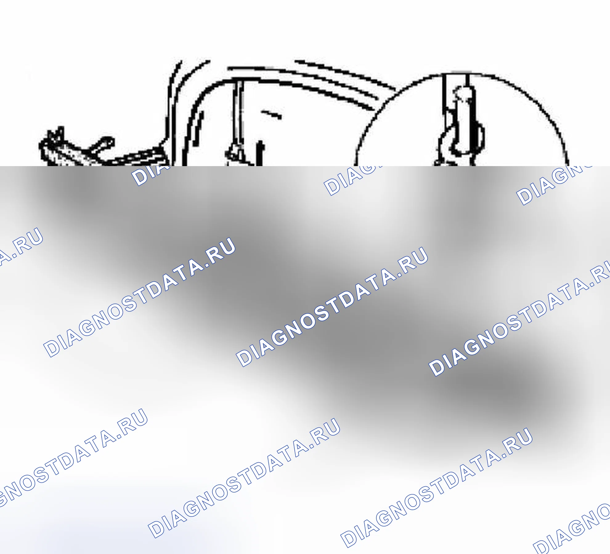 Рис. 42: ДЕМОНТАЖ. Porsche Boxster 986 рестайлинг