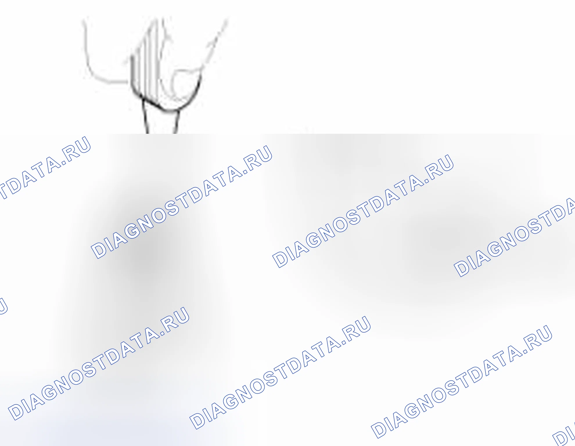 Рис. 9. BMW 6 серия F06/F13/F12