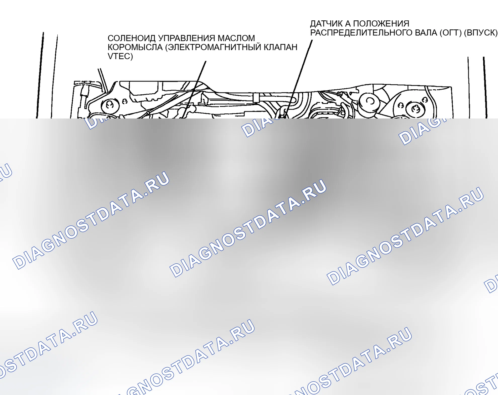 Рис. 178: Указатель расположения компонентов. Honda Element I