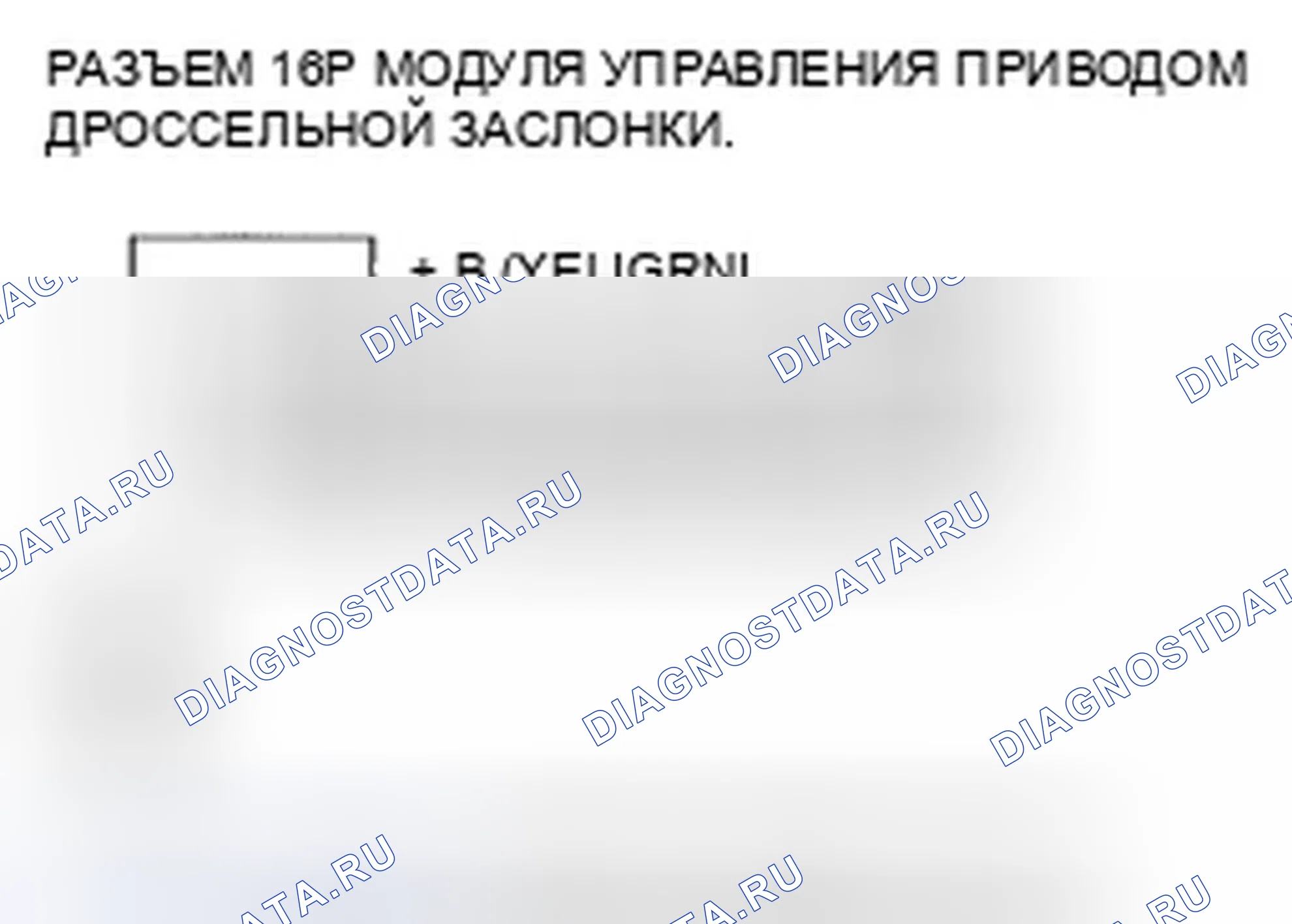 Рис. 344. Honda Element YH2 рестайлинг