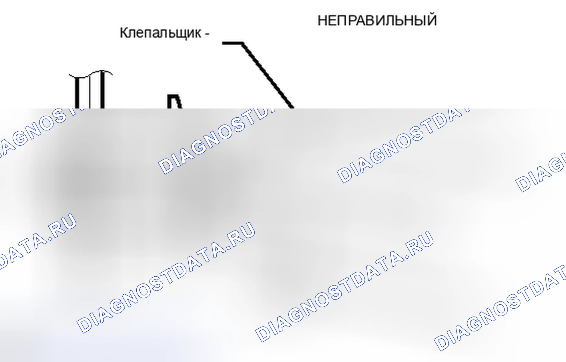 Рис. 146. Lexus IS F I